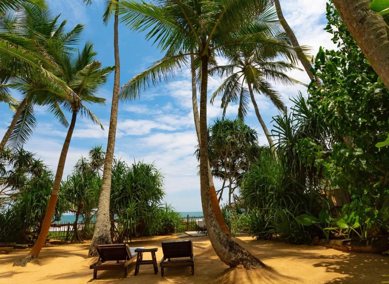 Garden in Taru Villas 906 - Hikkaduwa