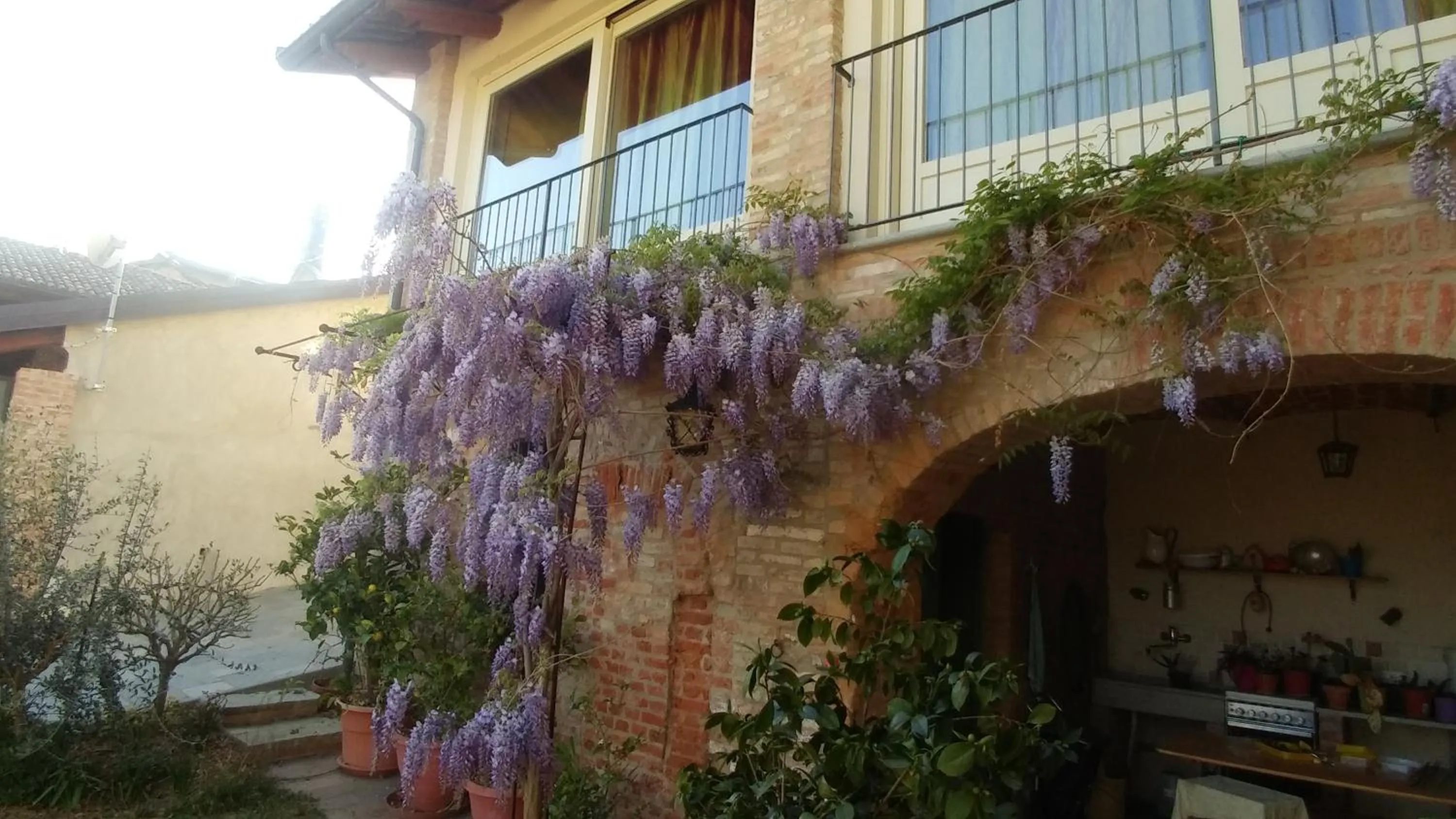 Il Ghiro Dormiglione
