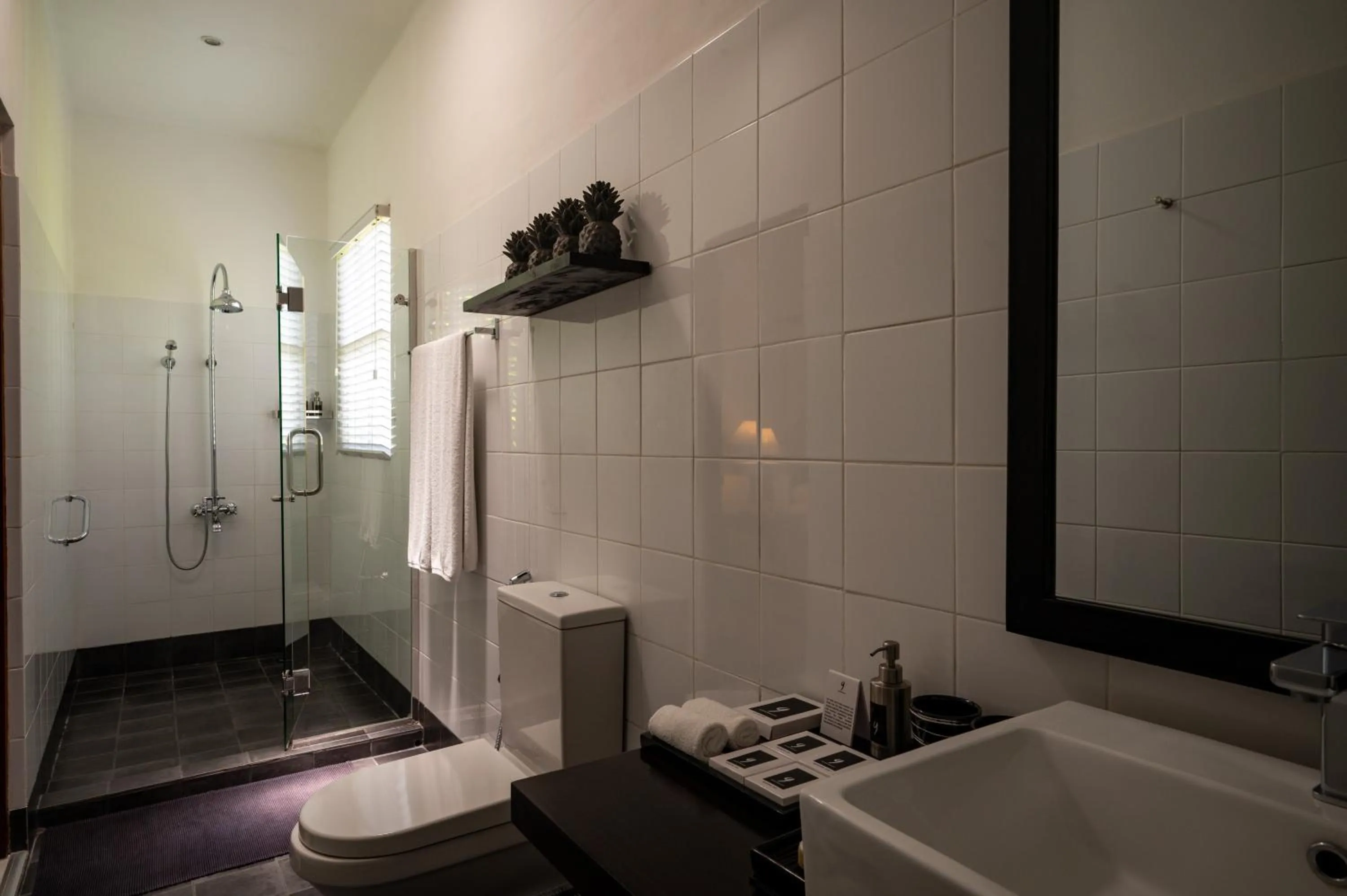 Nyne Hotels Rock Villa - Bentota