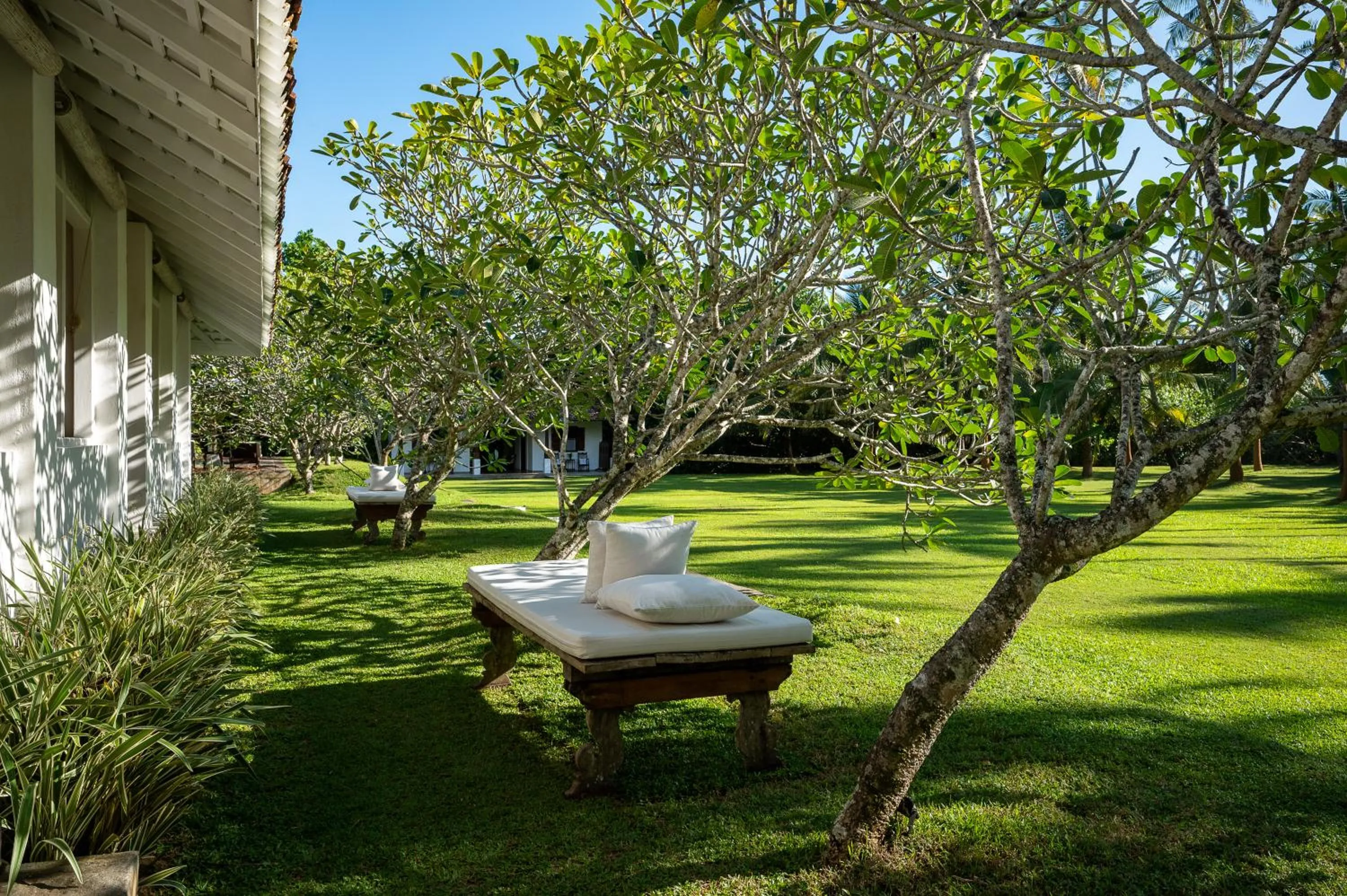 Garden in Nyne Hotels Rock Villa - Bentota