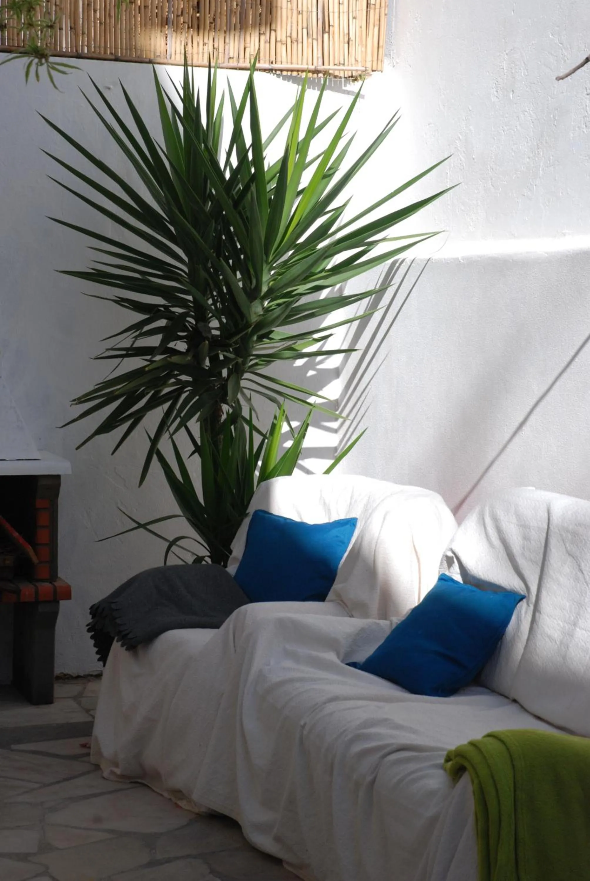 Garden, Bed in Olive Hostel Lagos