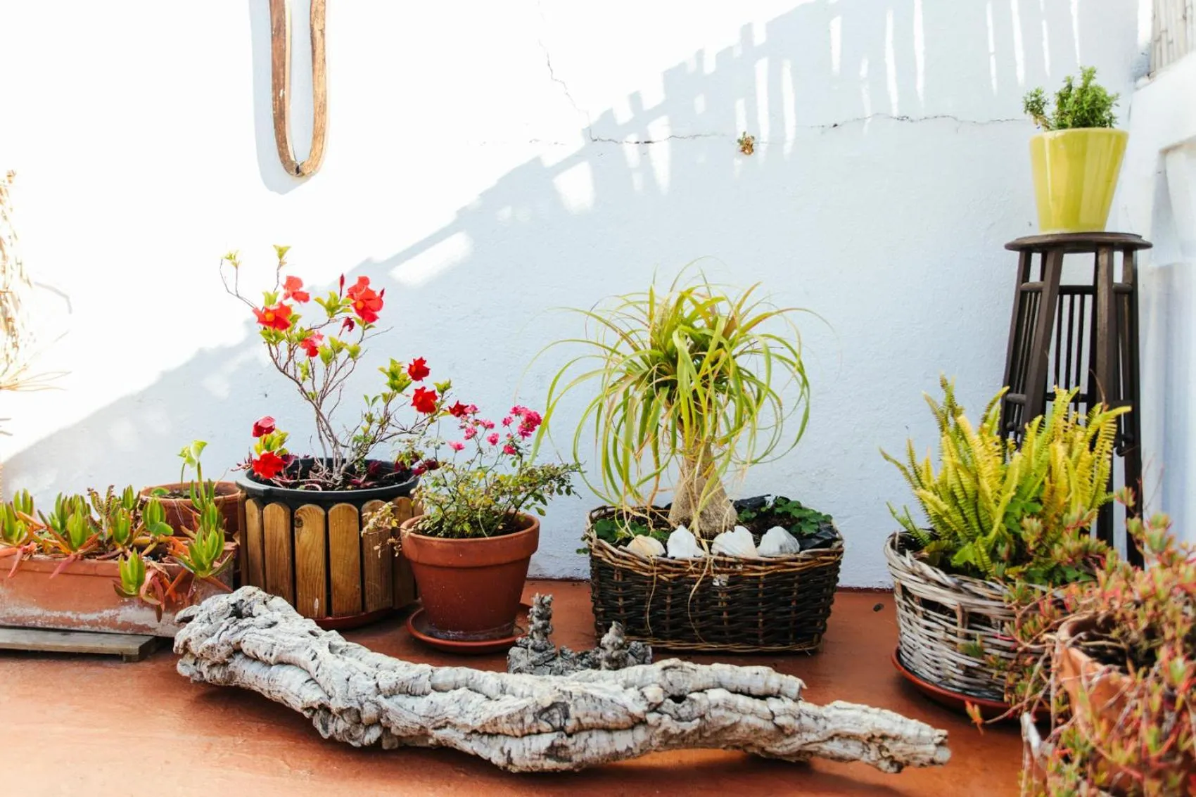Decorative detail in Olive Hostel Lagos
