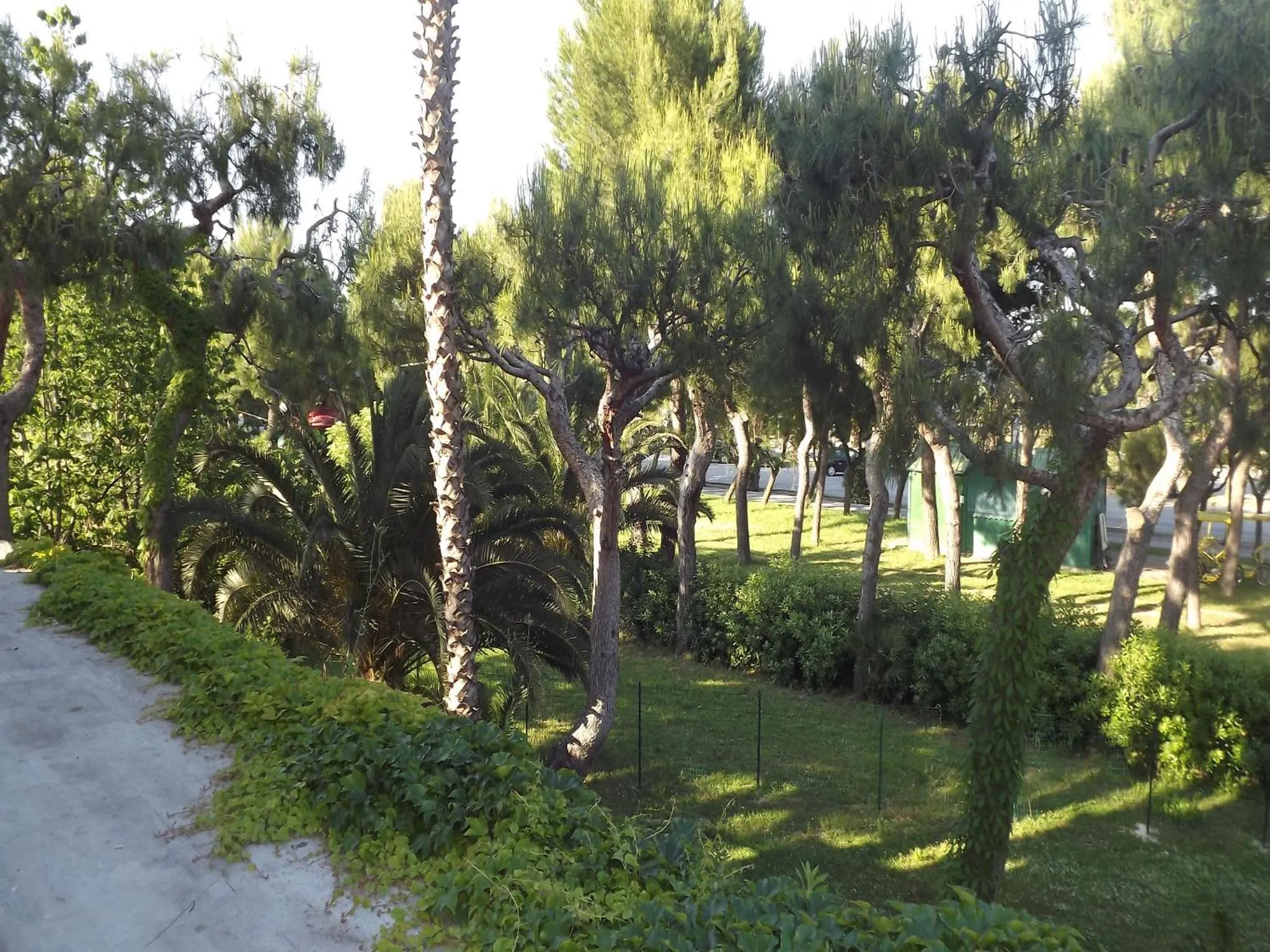 Garden view in Hotel Parco