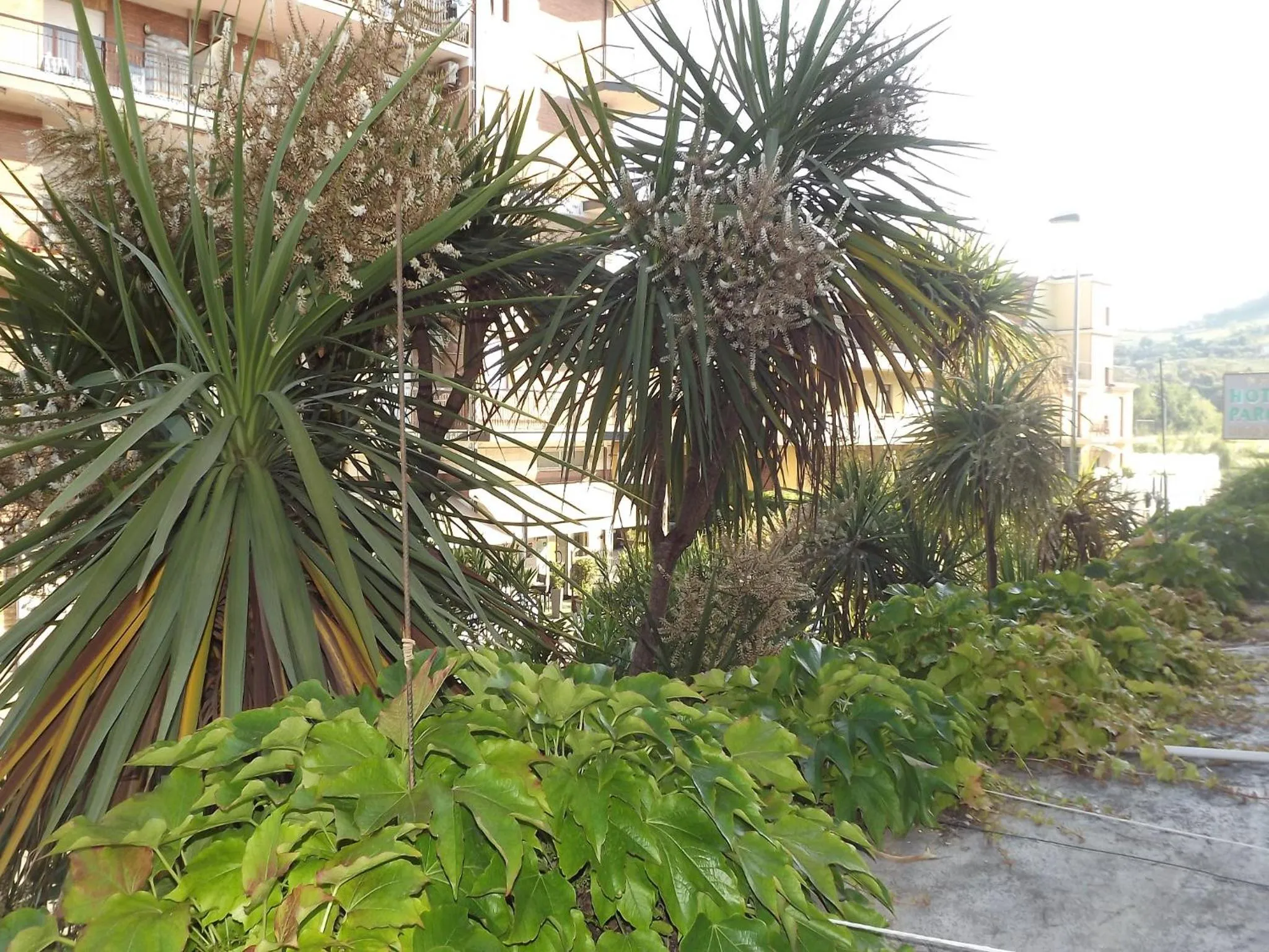 Property building in Hotel Parco