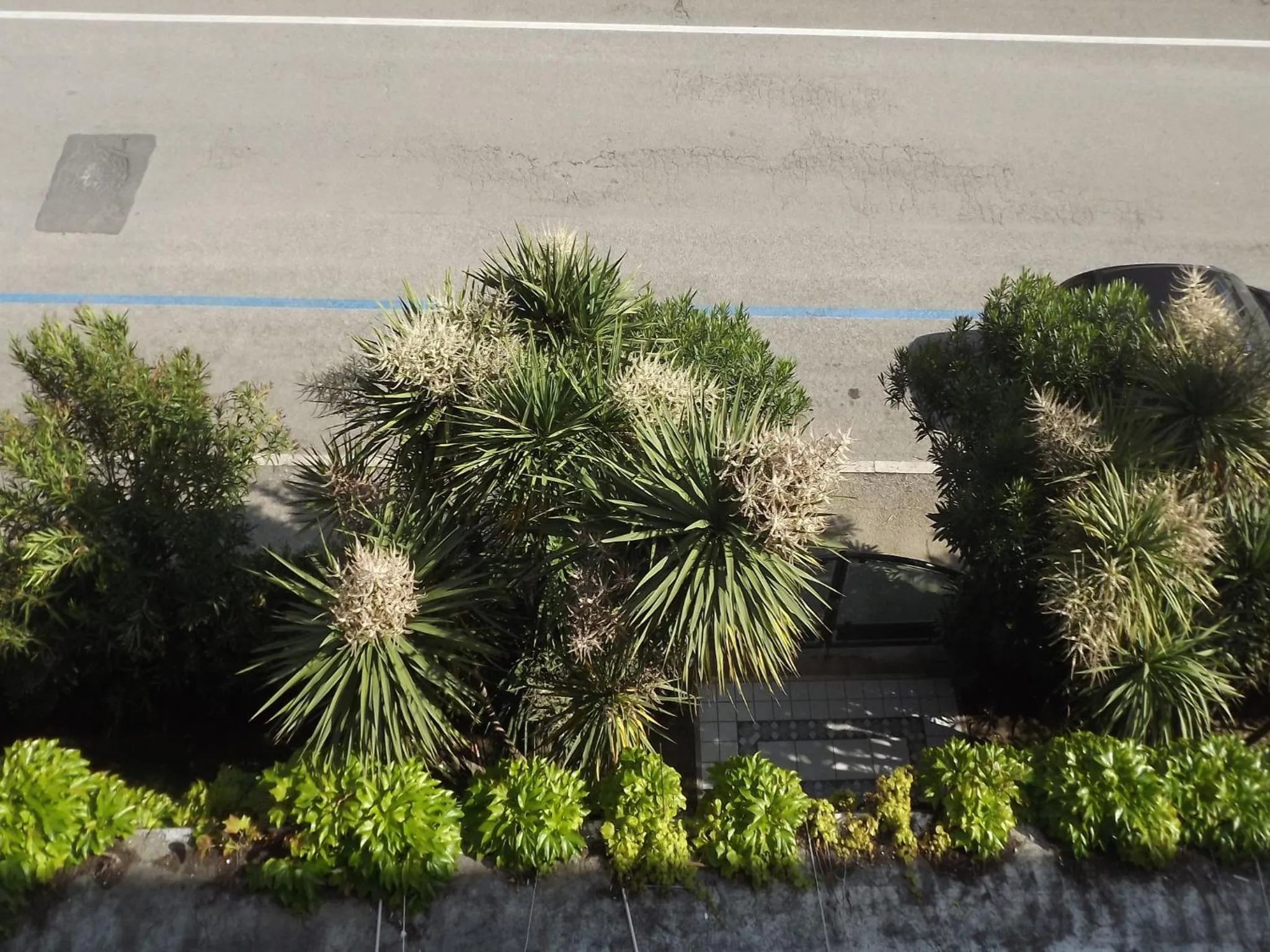 View (from property/room) in Hotel Parco