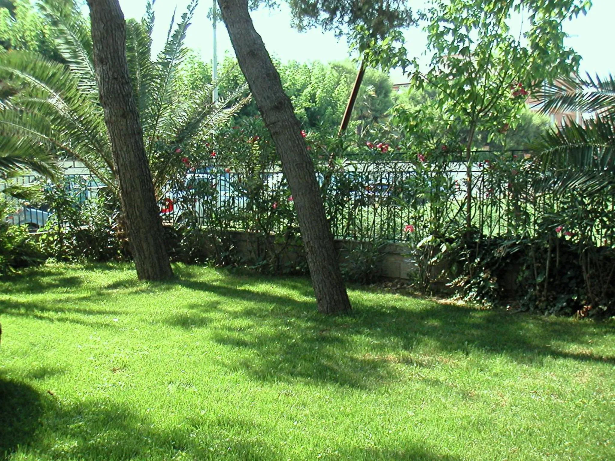 Garden in Hotel Parco