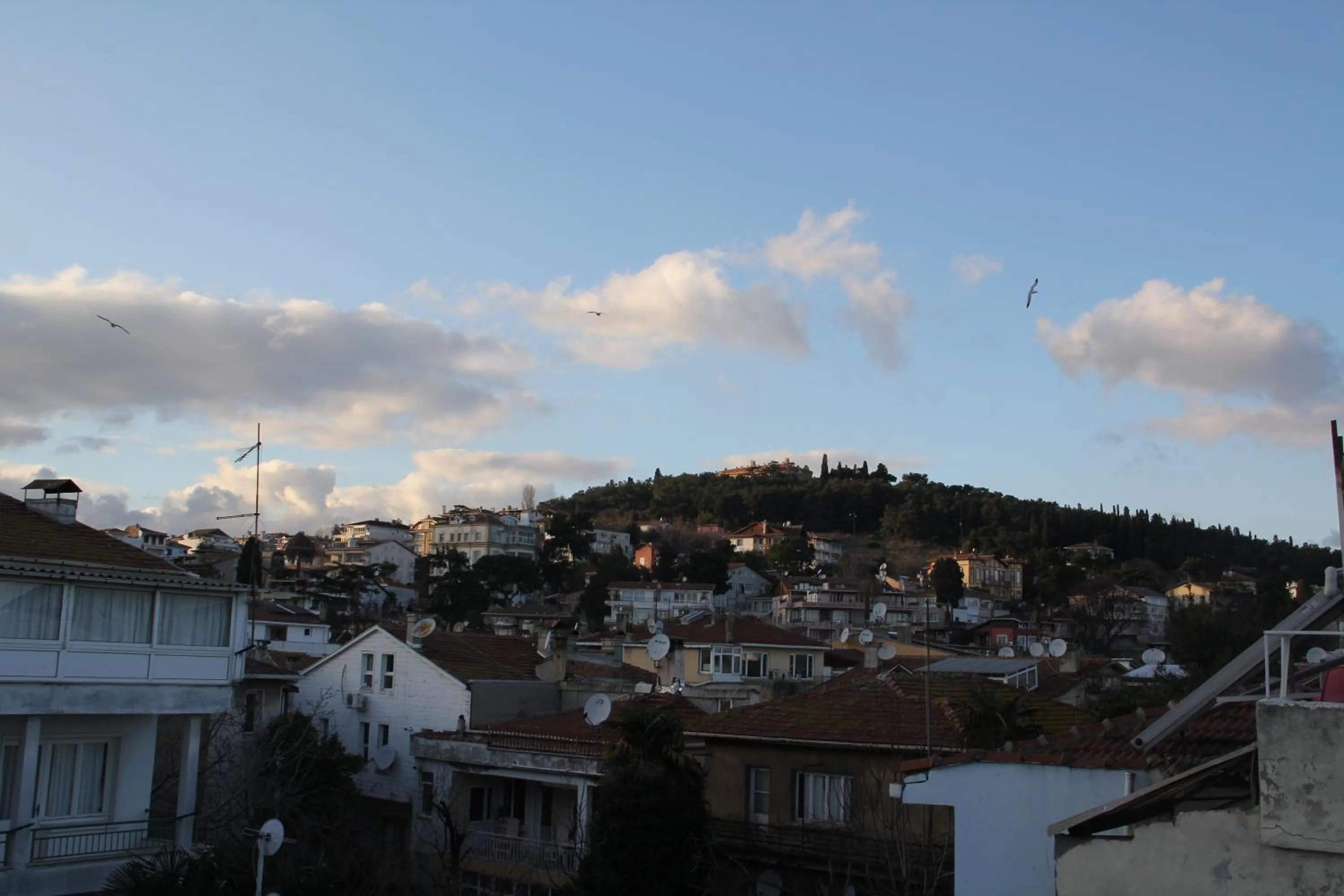 Natural landscape in Ozdemir Pansiyon