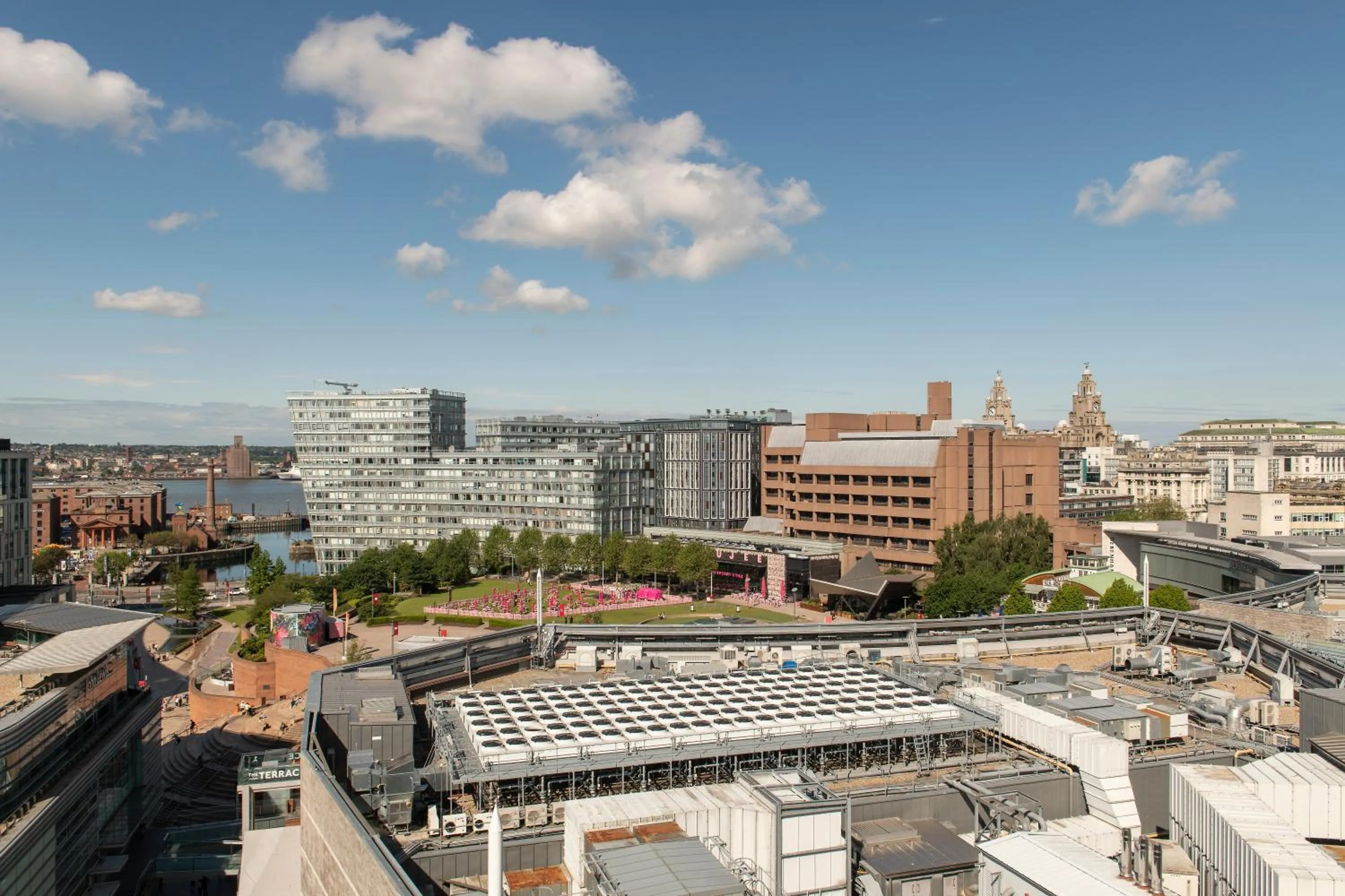 View (from property/room) in Cove Paradise Street