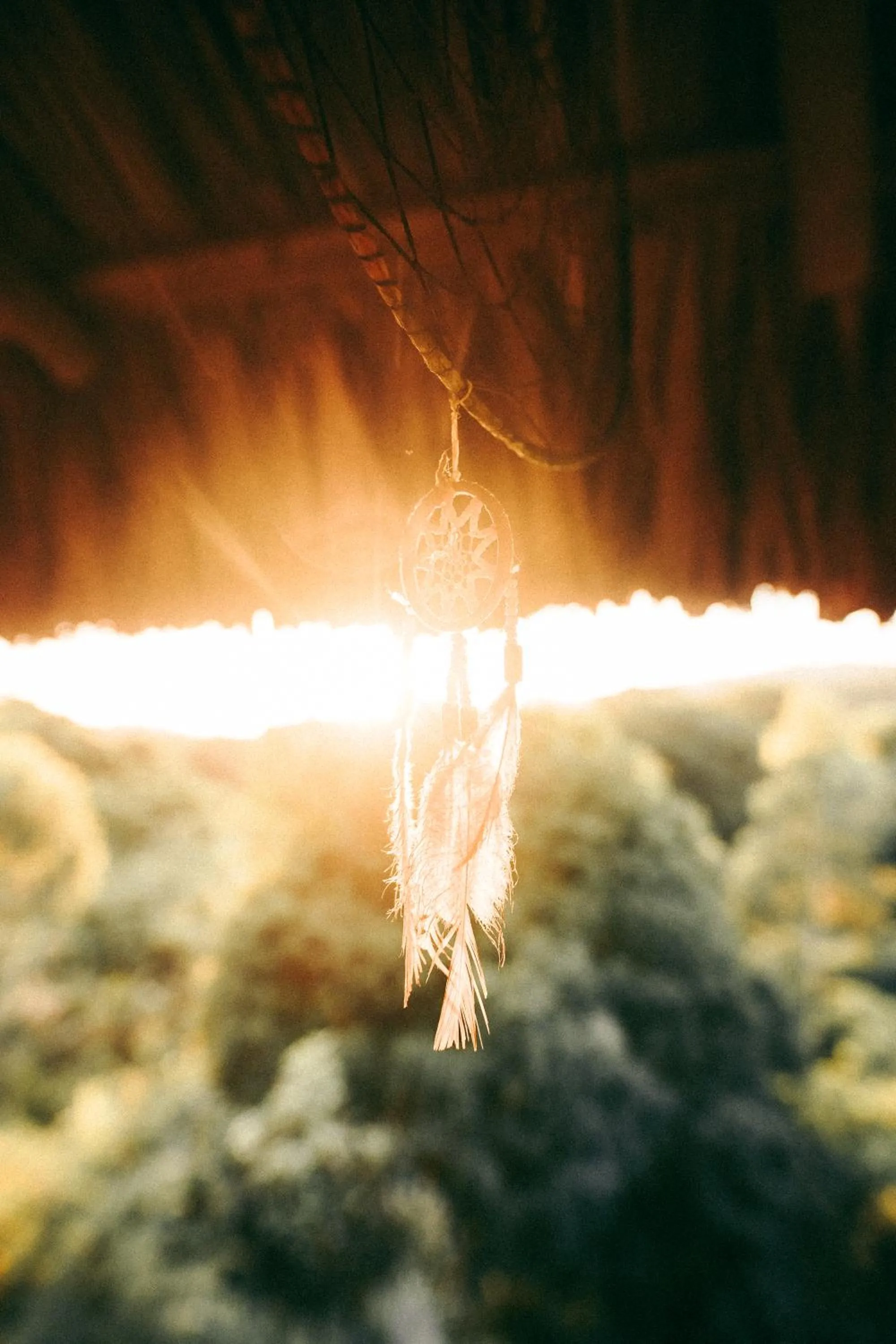 Natural landscape in Villa Tayrona