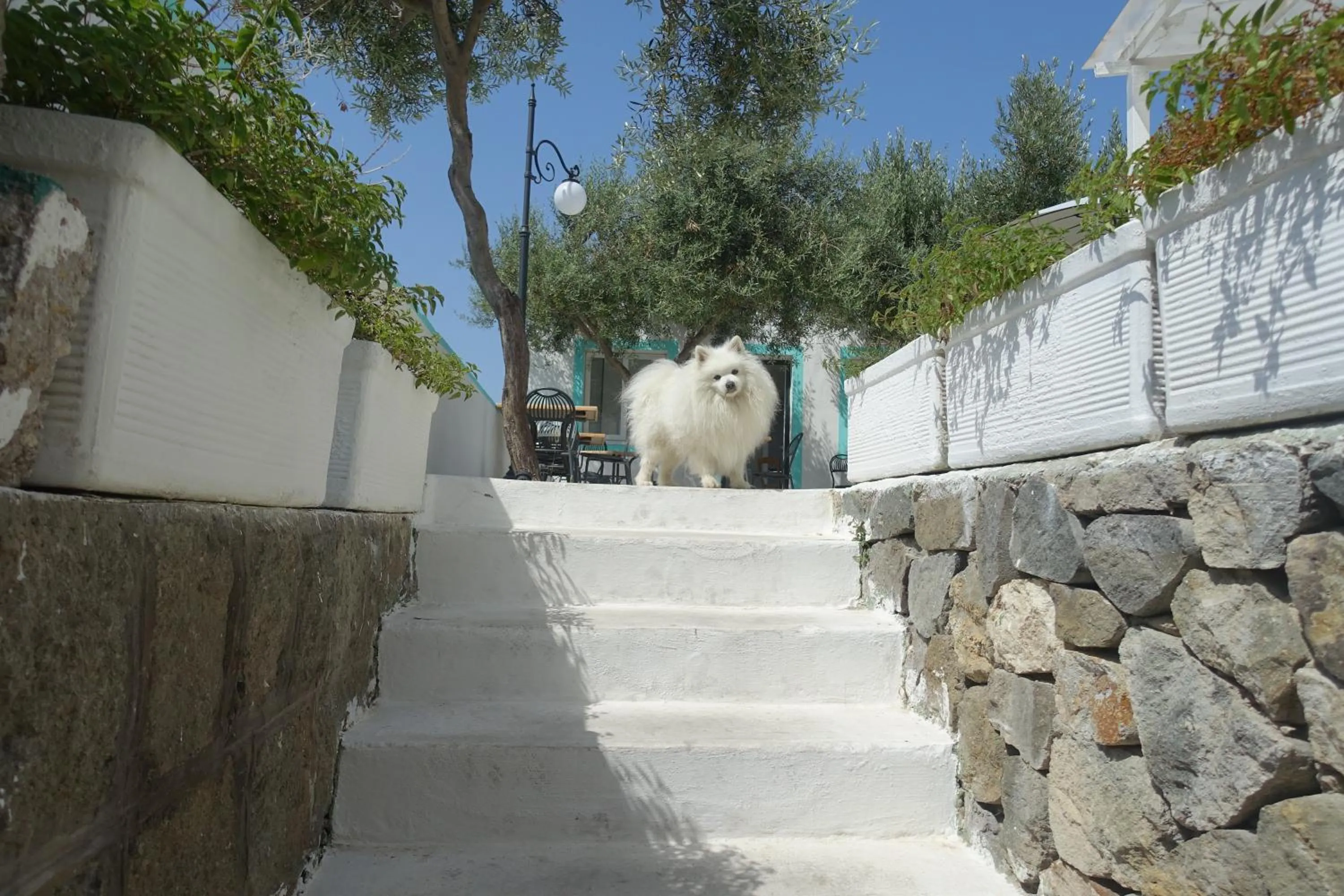 Il Capriccio Guesthouse