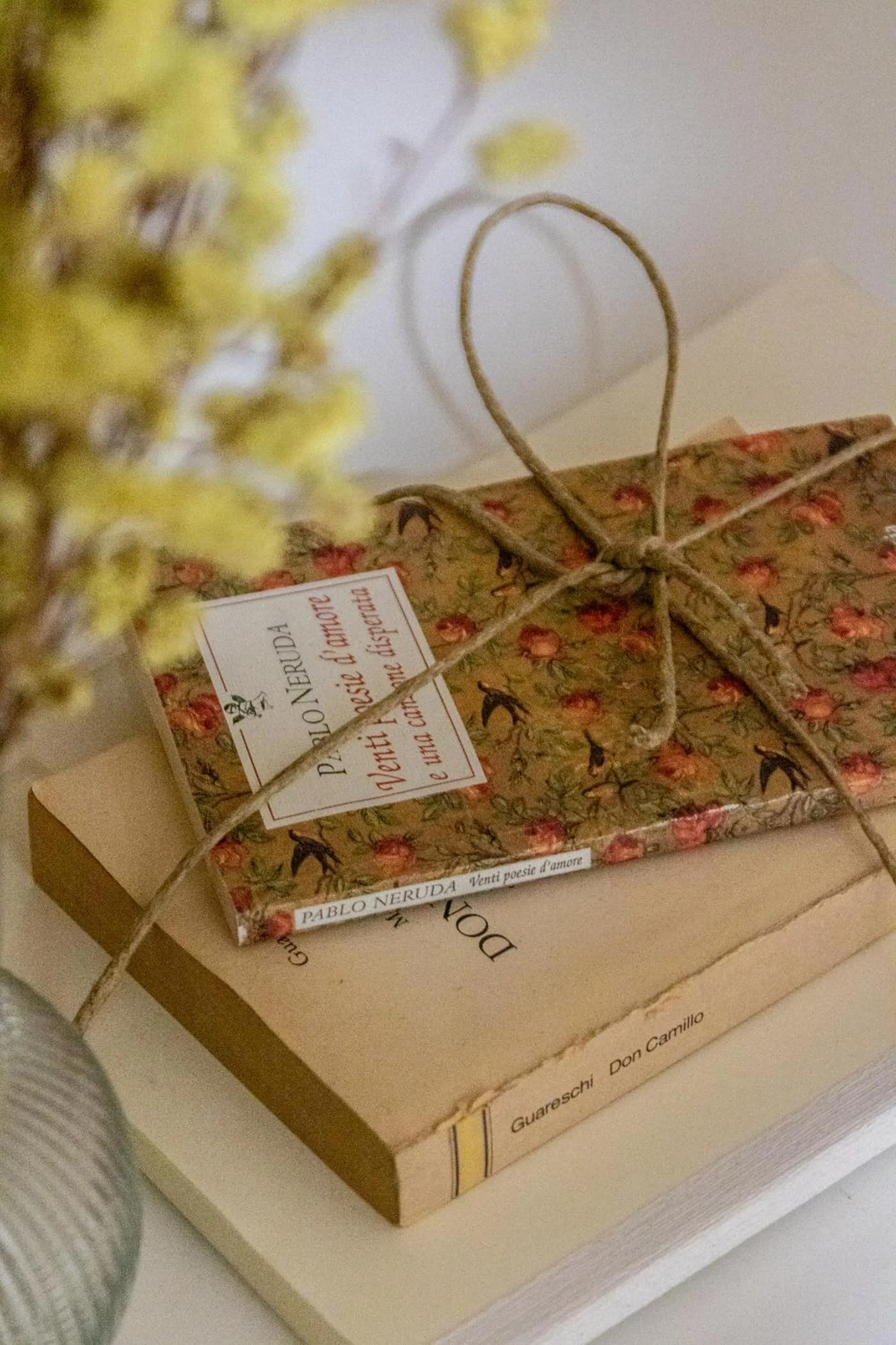 Library in Villa Arizona