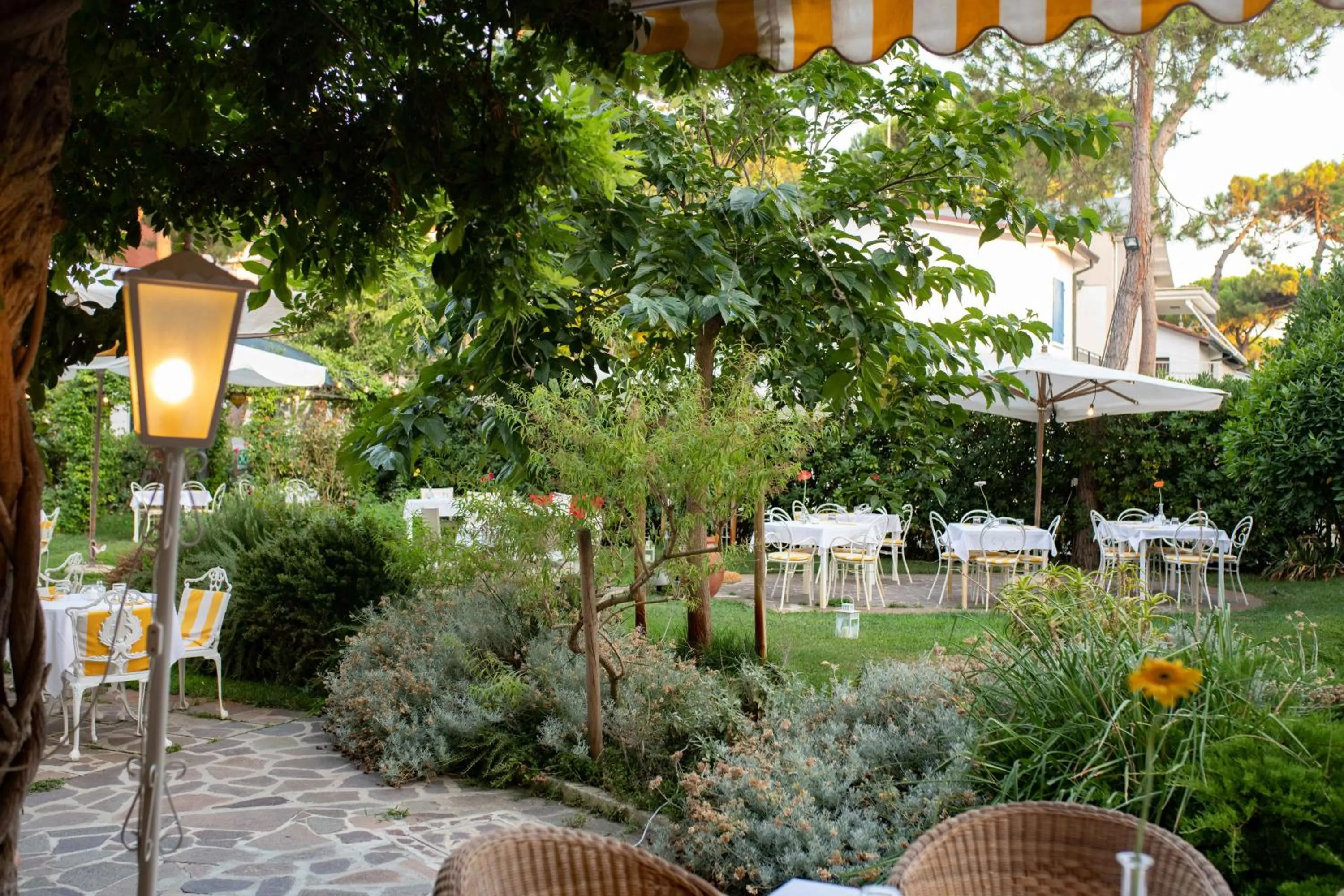 Spring in Villa Arizona