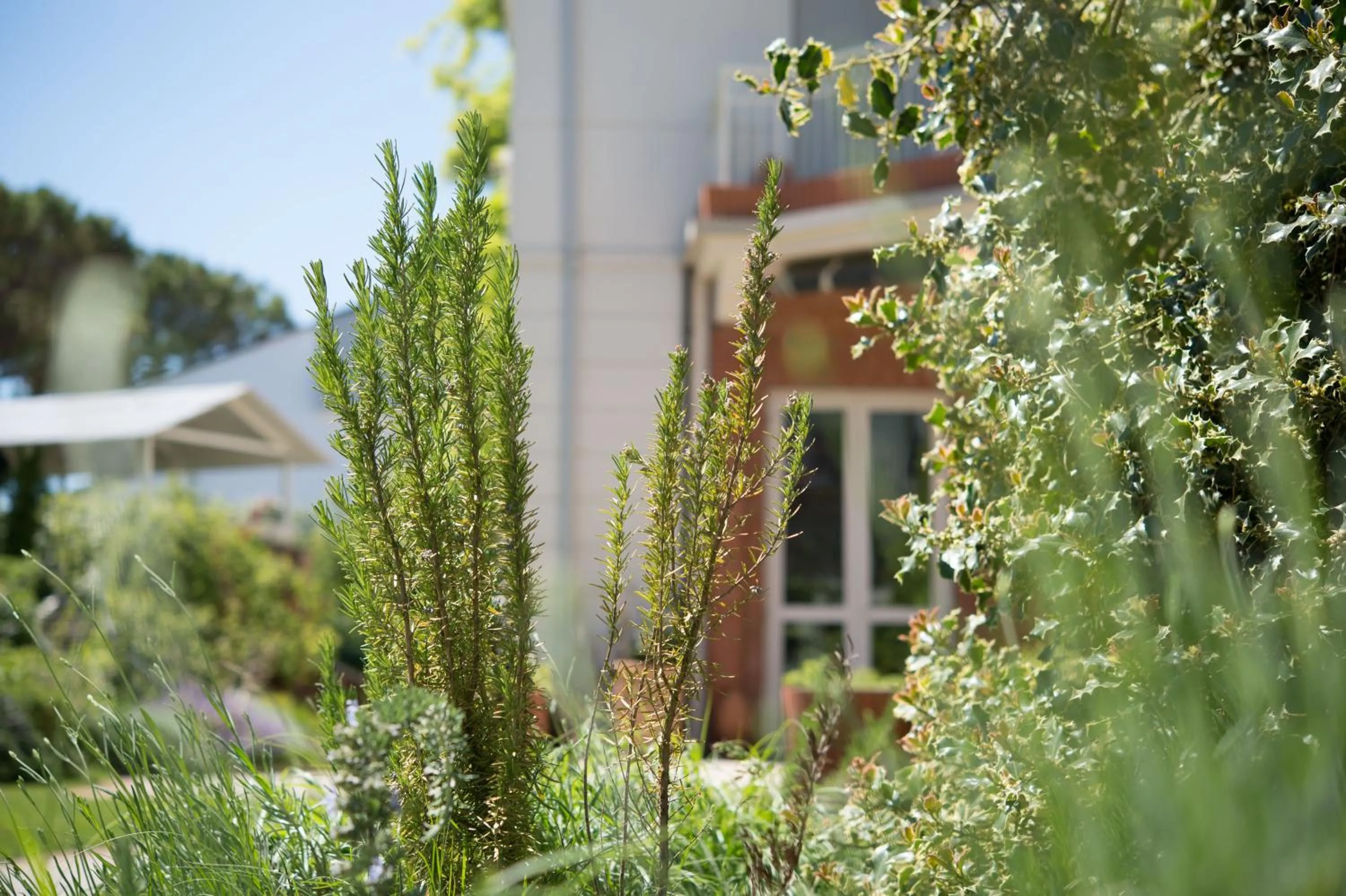 Property building in Villa Arizona