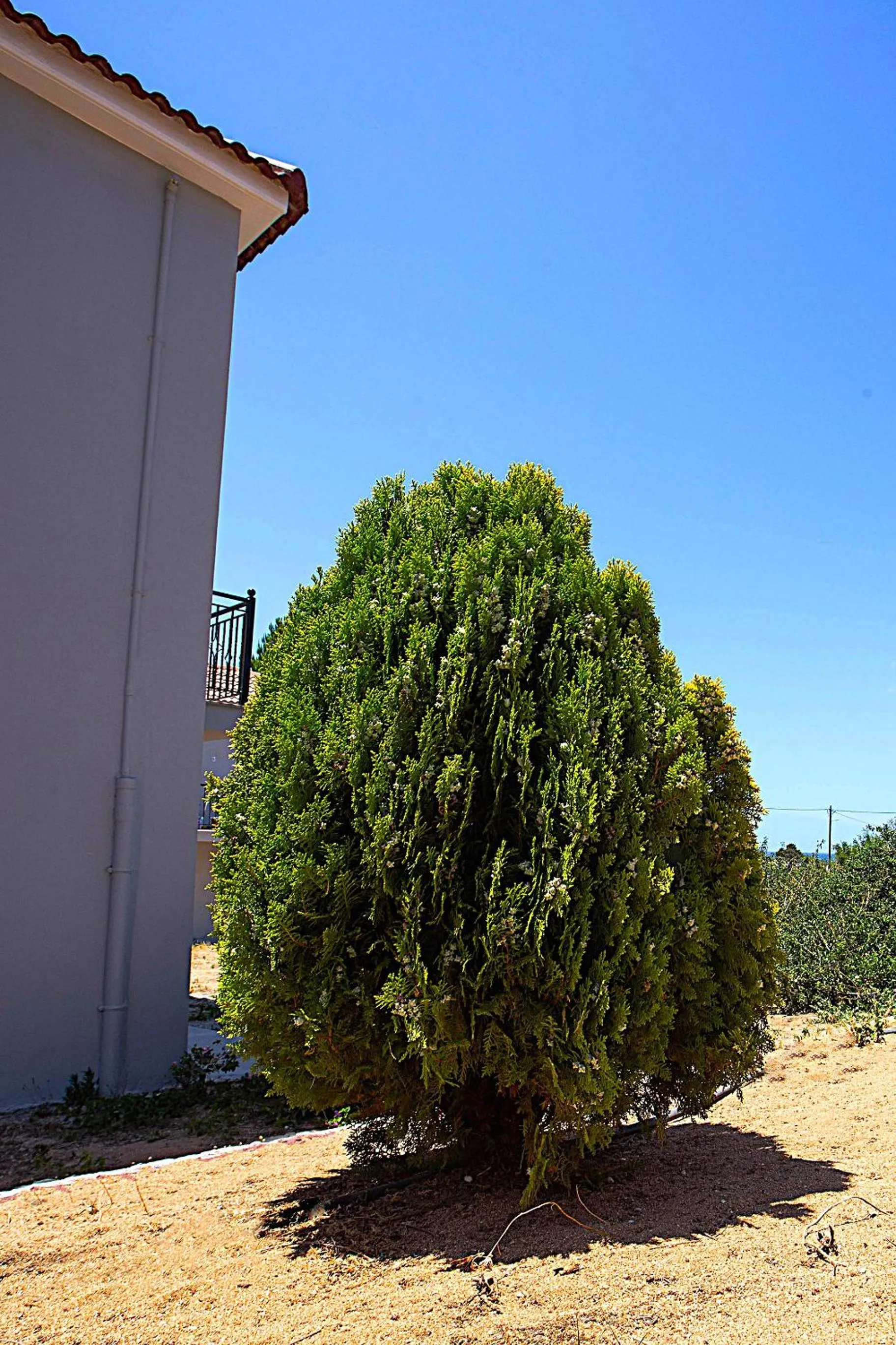 Natural landscape in Romanos Beach Villas