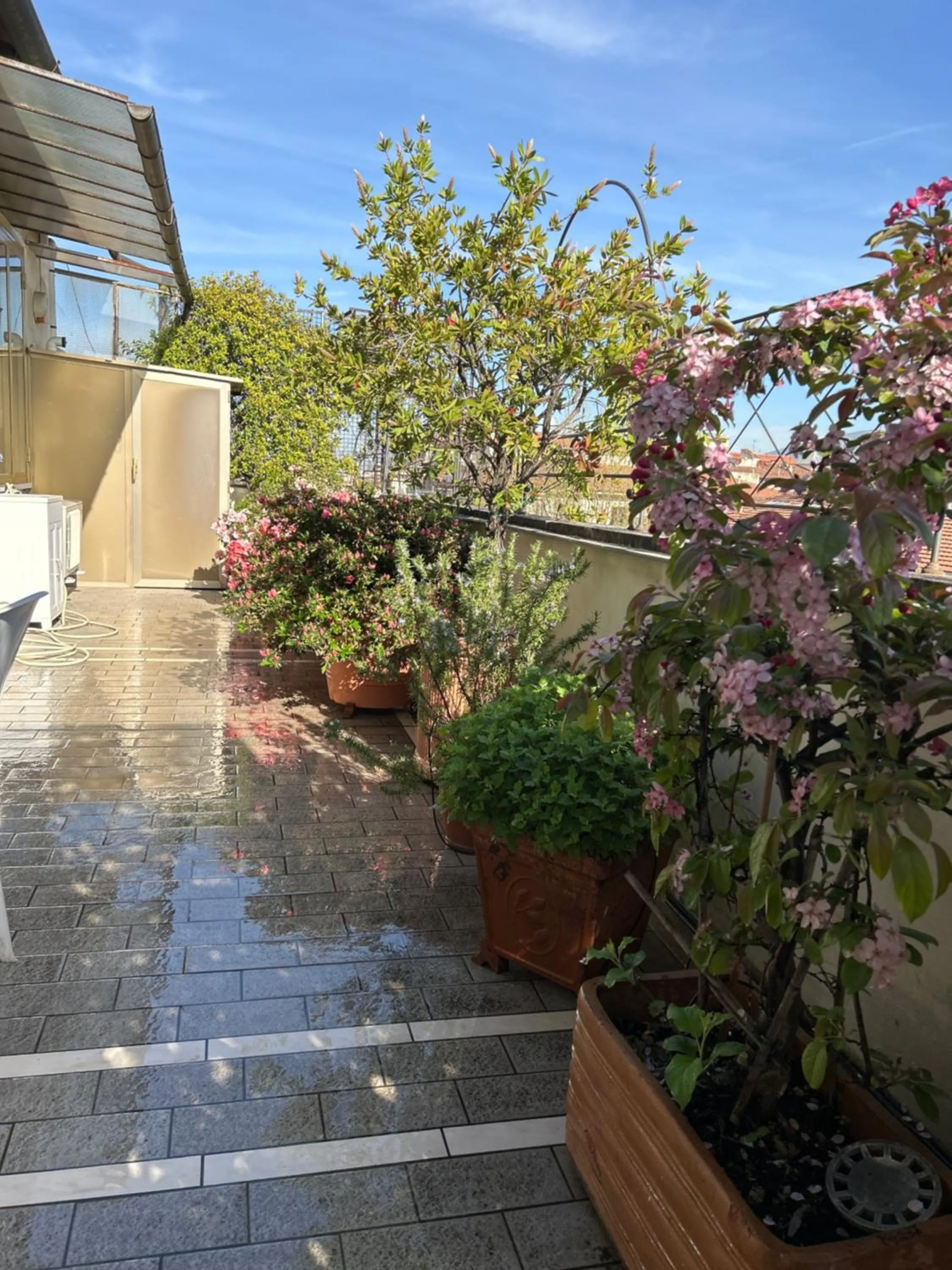 Day in Cherubini Florence Residence