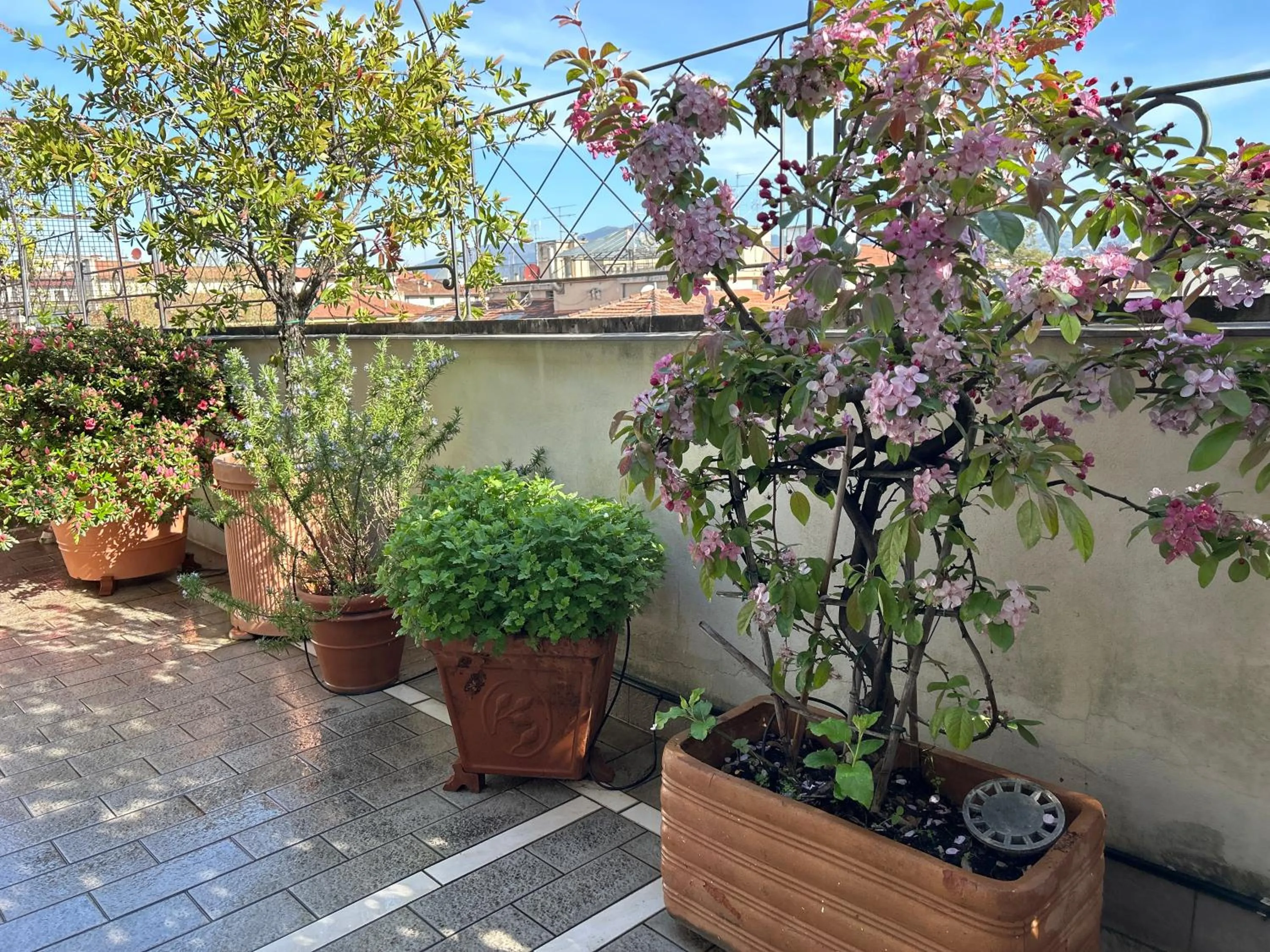 Spring in Cherubini Florence Residence