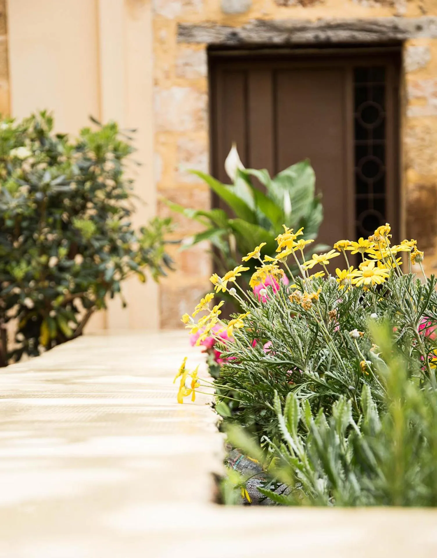 Garden in San Salvatore Monastery