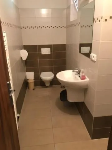 Double or Twin Room with Private Bathroom - single occupancy in Bezměrovský dvůr Kroměříž