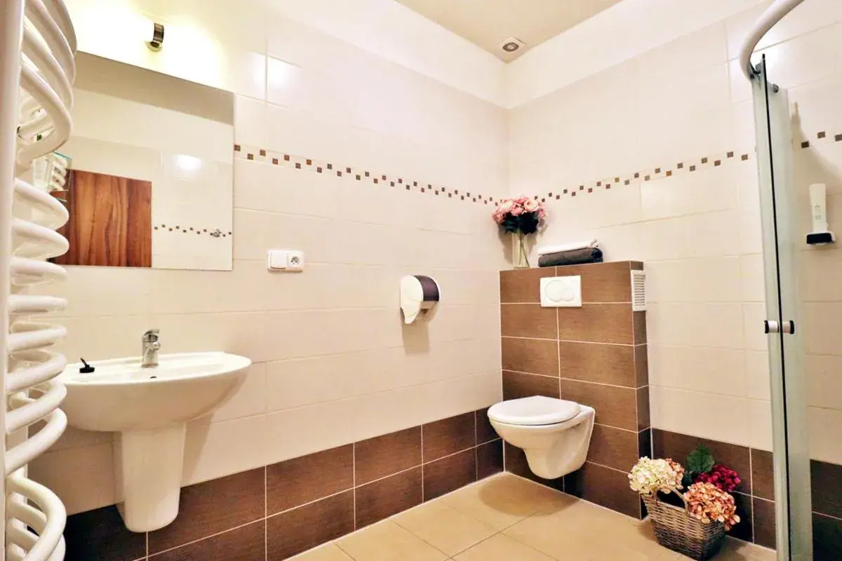 Double Room with Terrace - single occupancy in Bezměrovský dvůr Kroměříž Double Room with Terrace - single occupancy in Bezměrovský dvůr Kroměříž