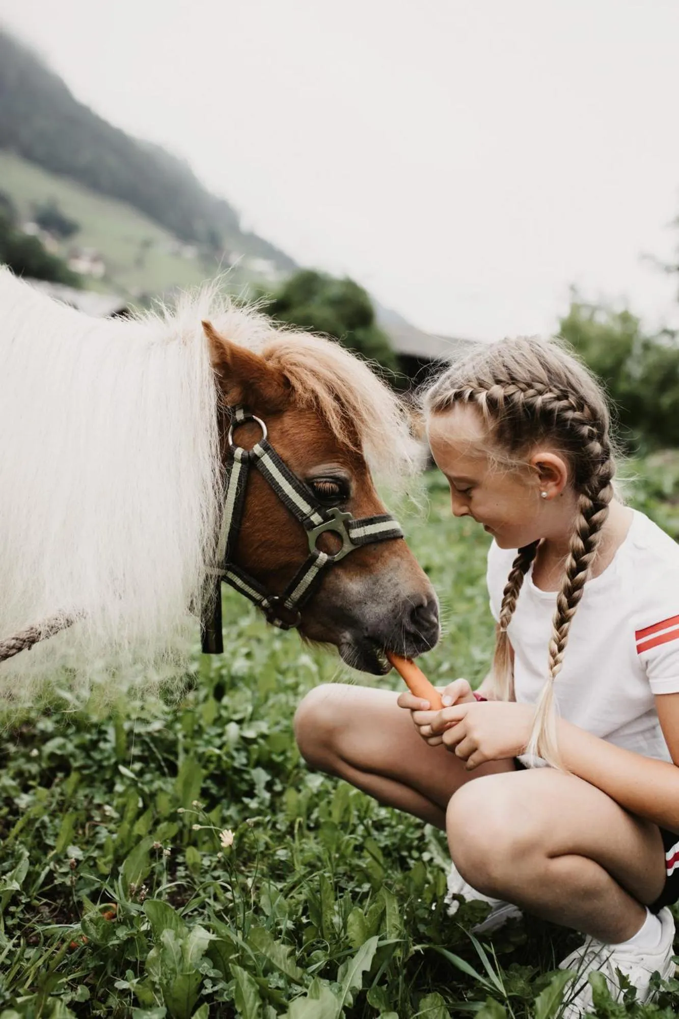 Summer in Hotel Auhof
