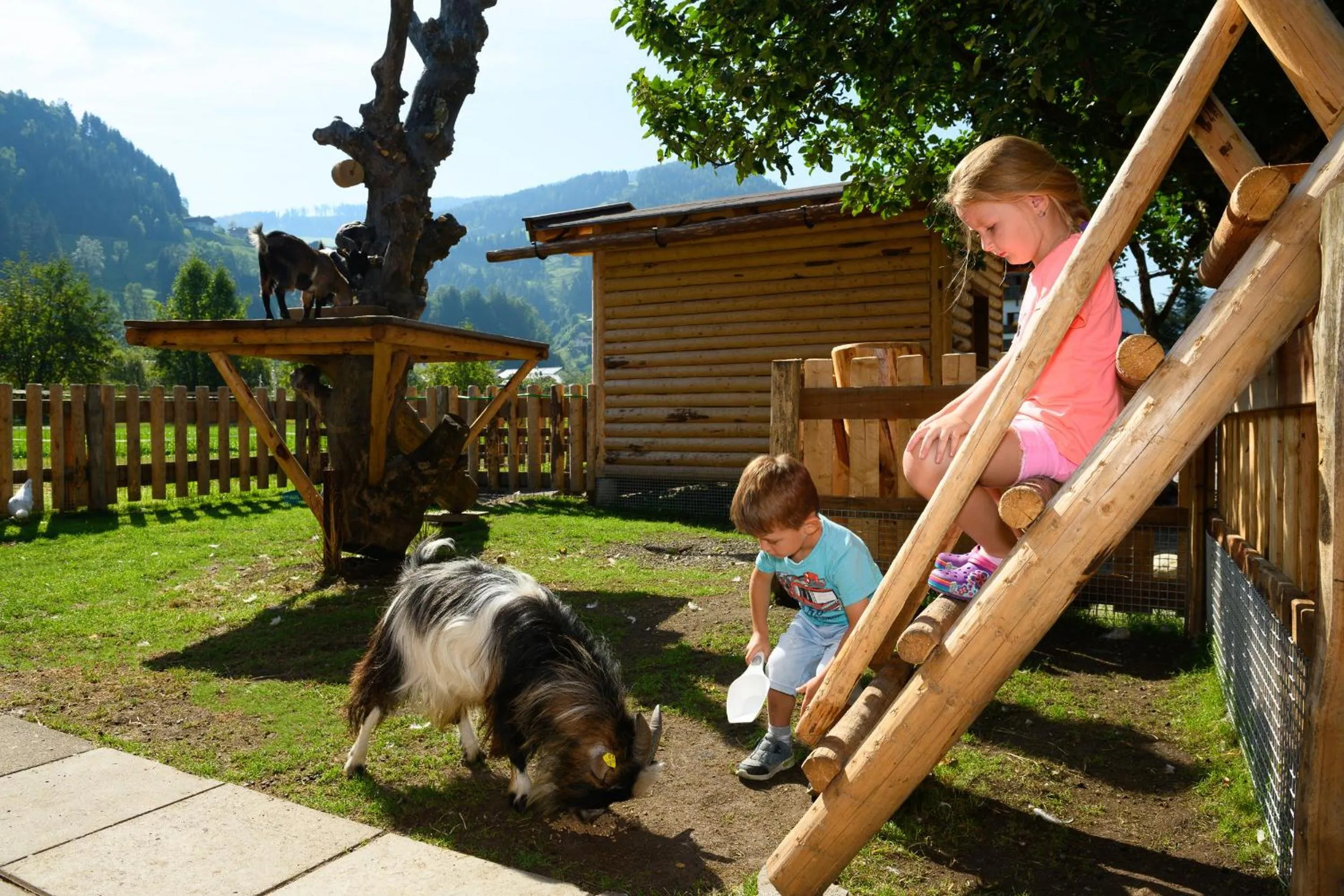 Children play ground in Hotel Auhof