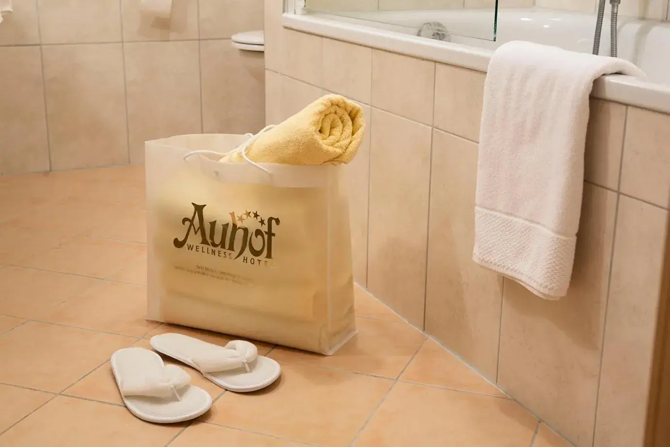 Single Room - single occupancy in Hotel Auhof Single Room - single occupancy in Hotel Auhof