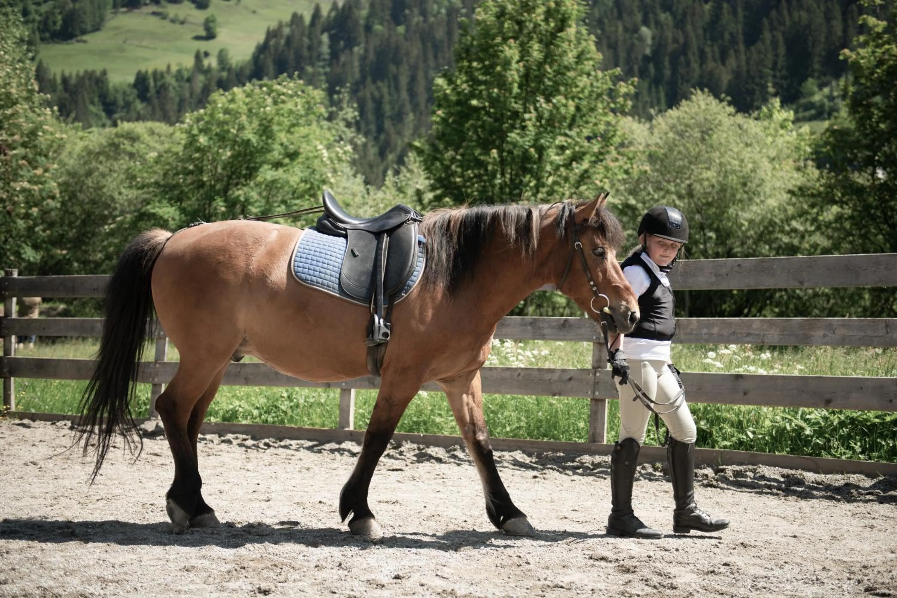 Horse-riding in Hotel Auhof