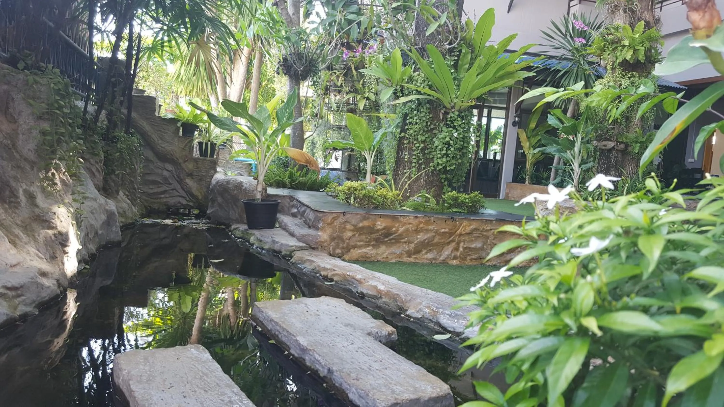 Natural landscape in First and Frang Hotel - Koh Phangan