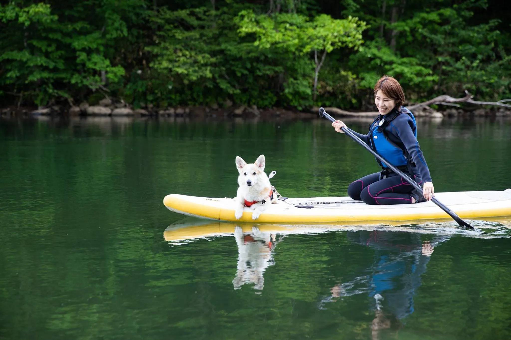 Activities in SnowDog Village