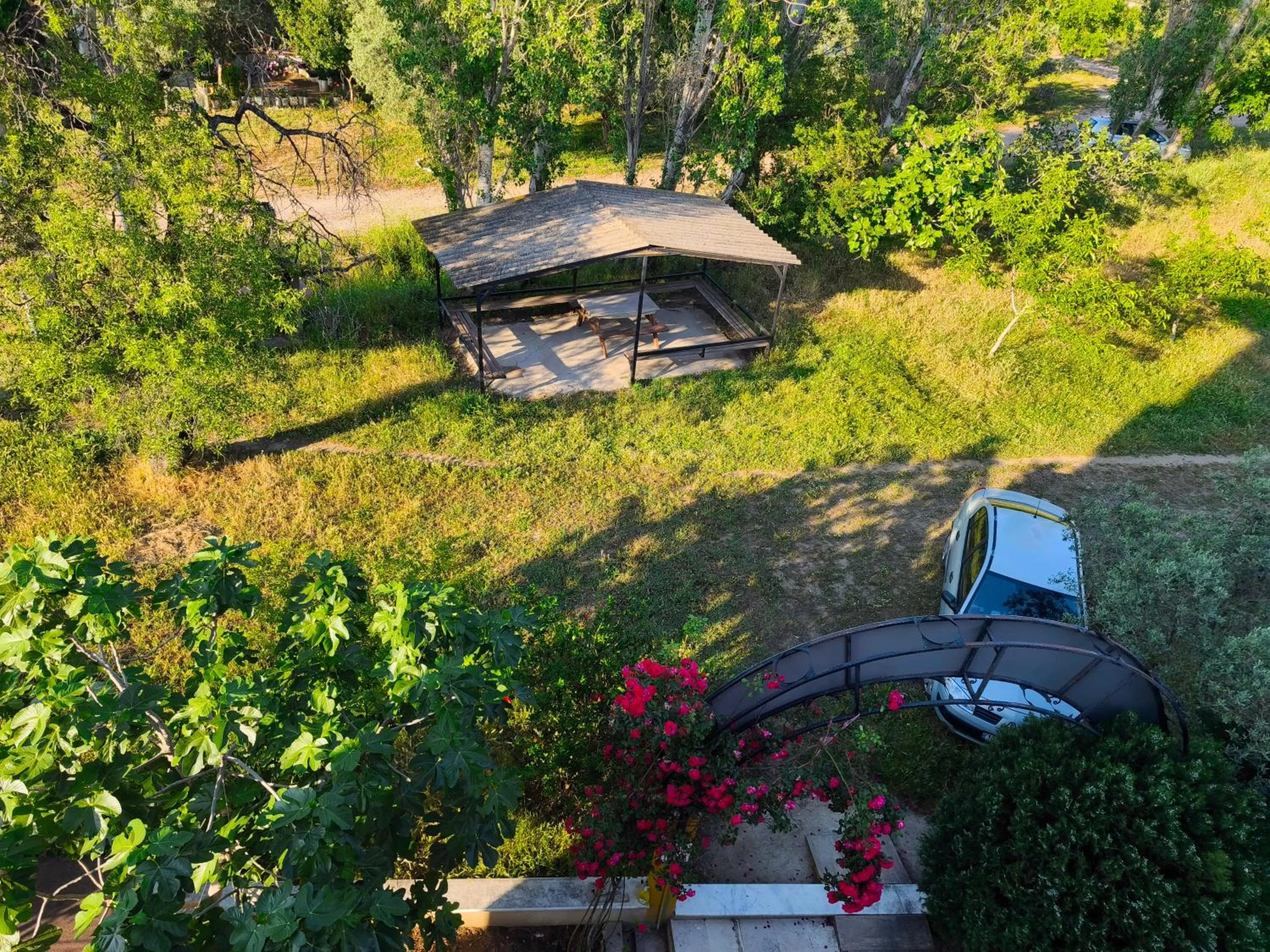 Garden view in Sağlık Apart Pansiyon