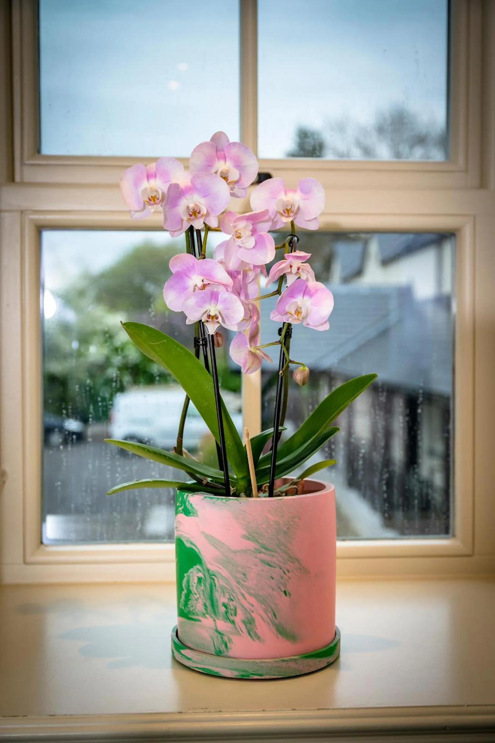 Garden view in Loch Ness Inn