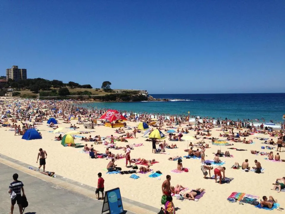 Area and facilities in Dive Hotel