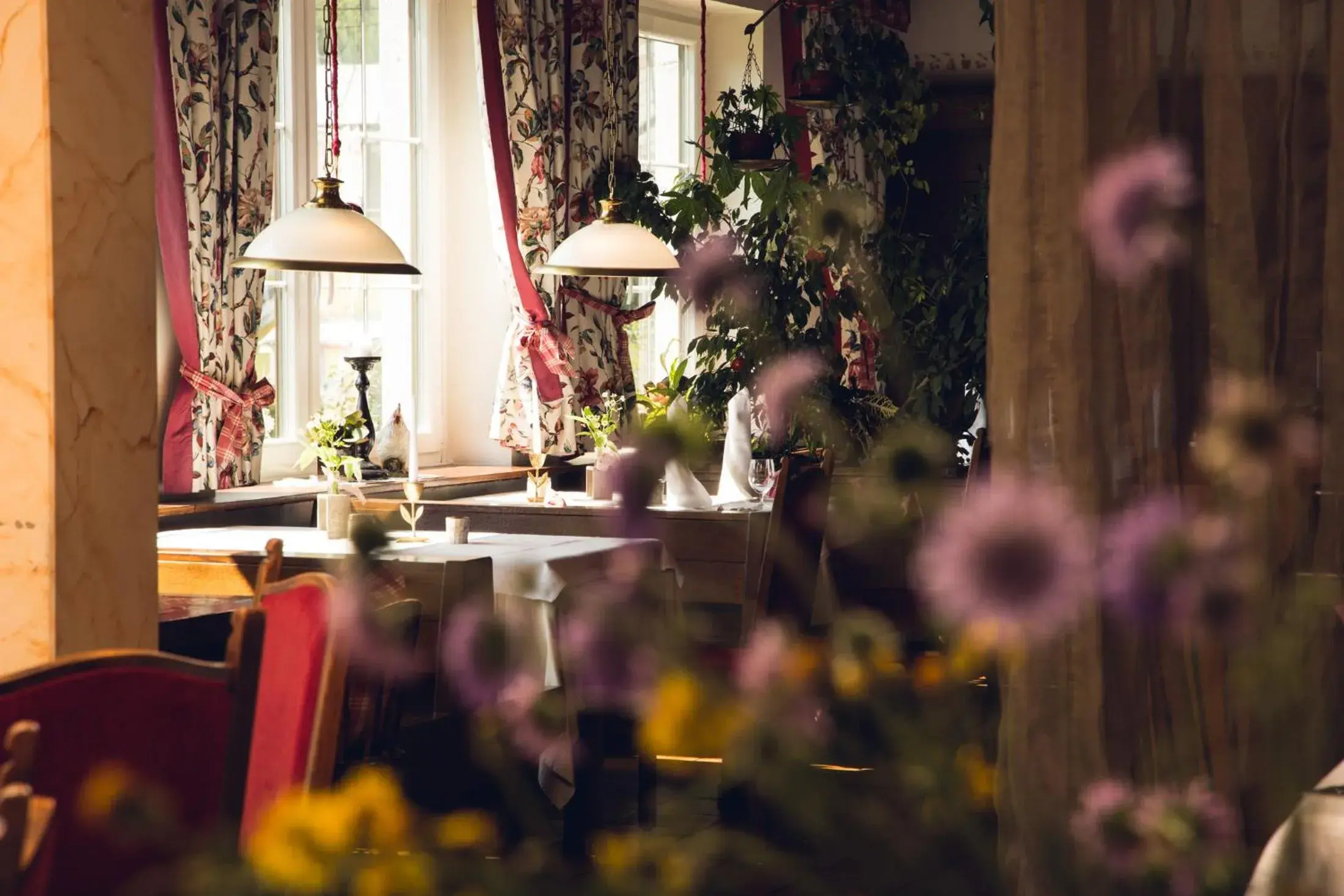 Deluxe Single Room - single occupancy in Zum Dorfschmied Deluxe Single Room - single occupancy in Zum Dorfschmied