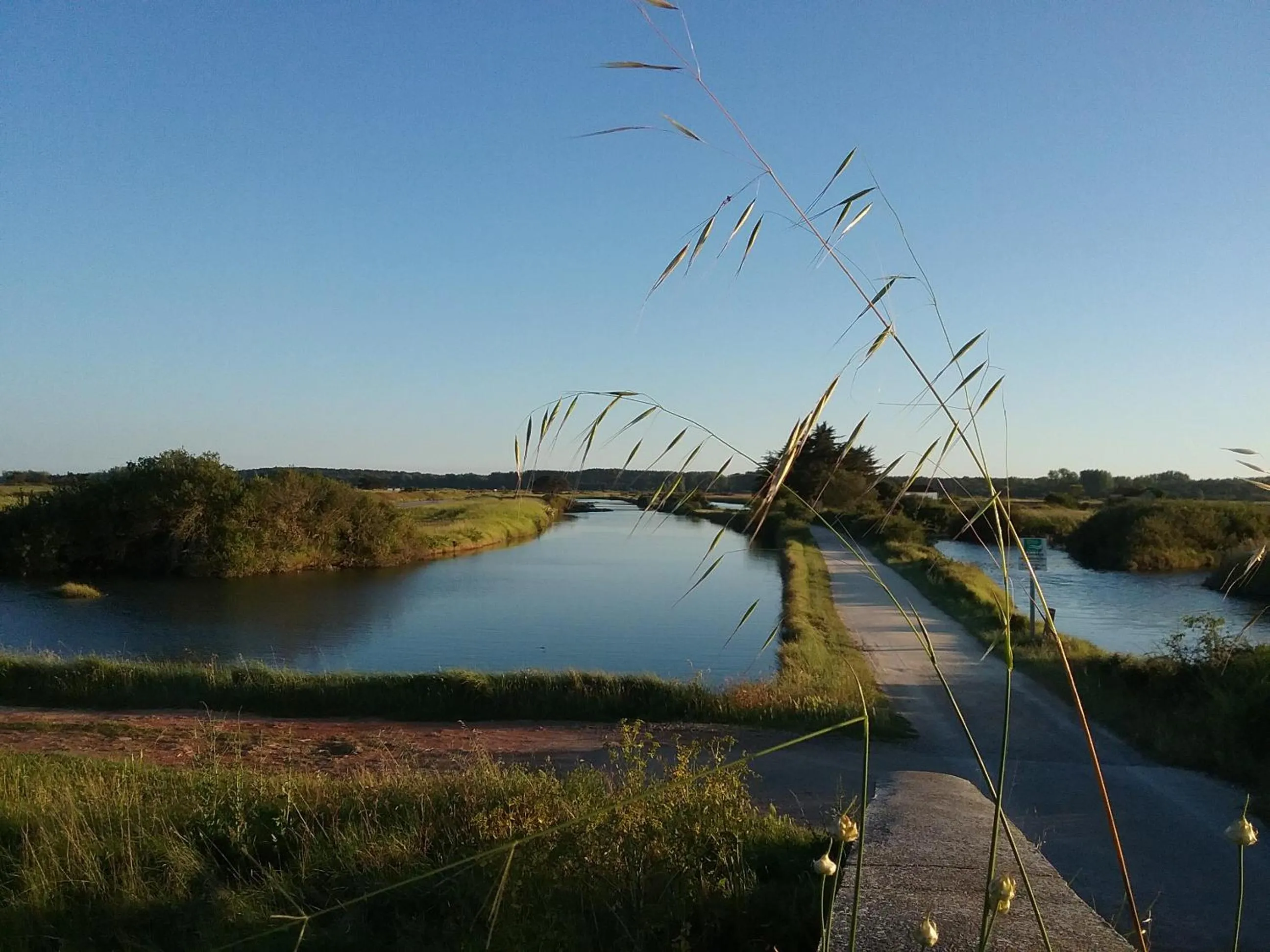 Other in Chevrefeuille et Eglantine