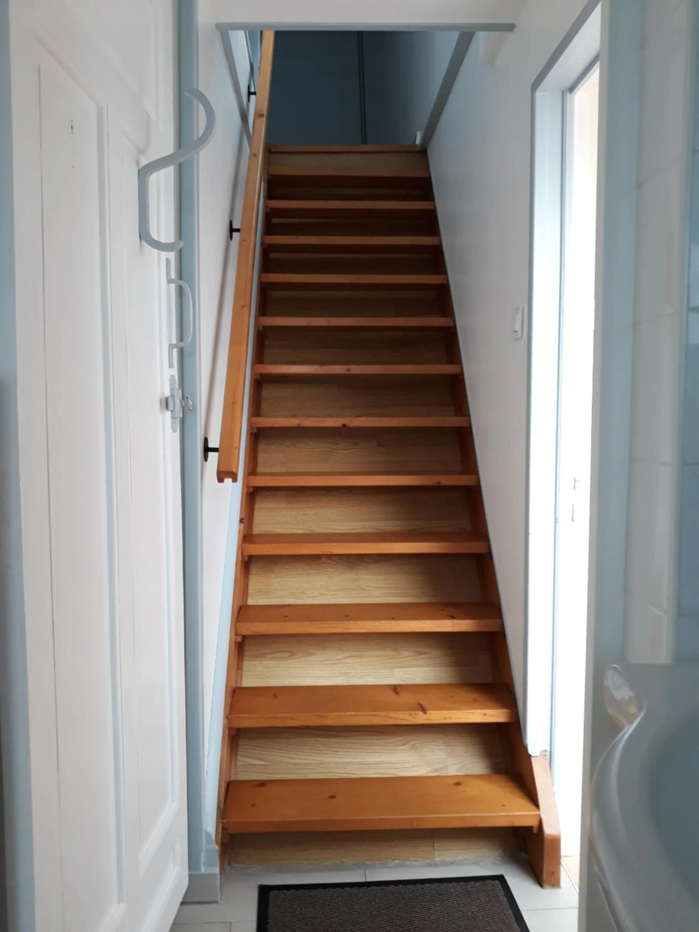 Chevrefeuille et Eglantine