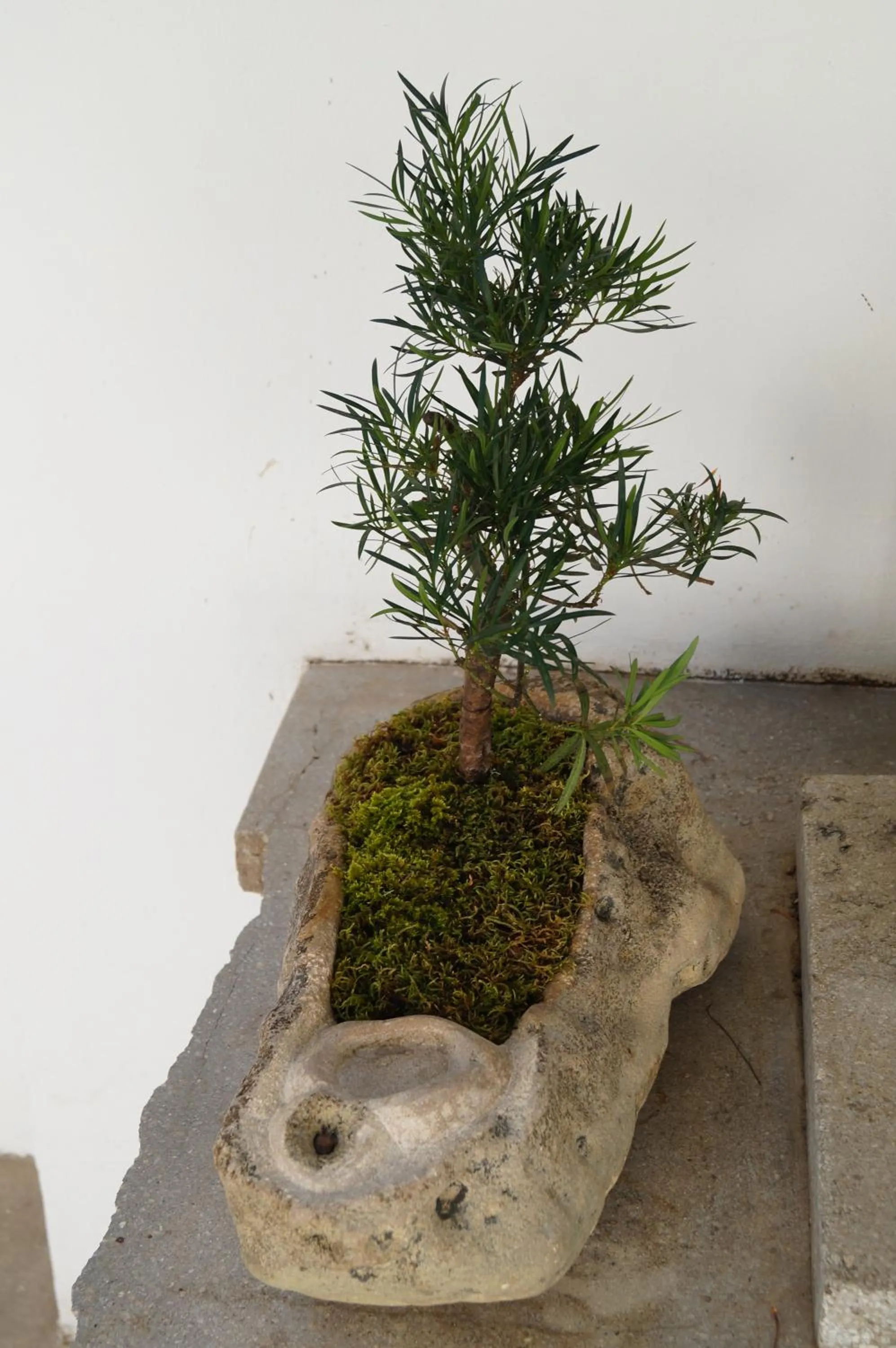 Garden in Gul Hanim House Boutique Hotel