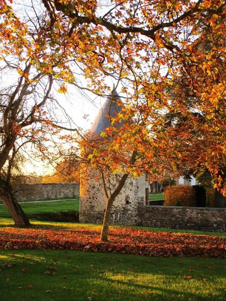 Garden in Logis de la Helberdière
