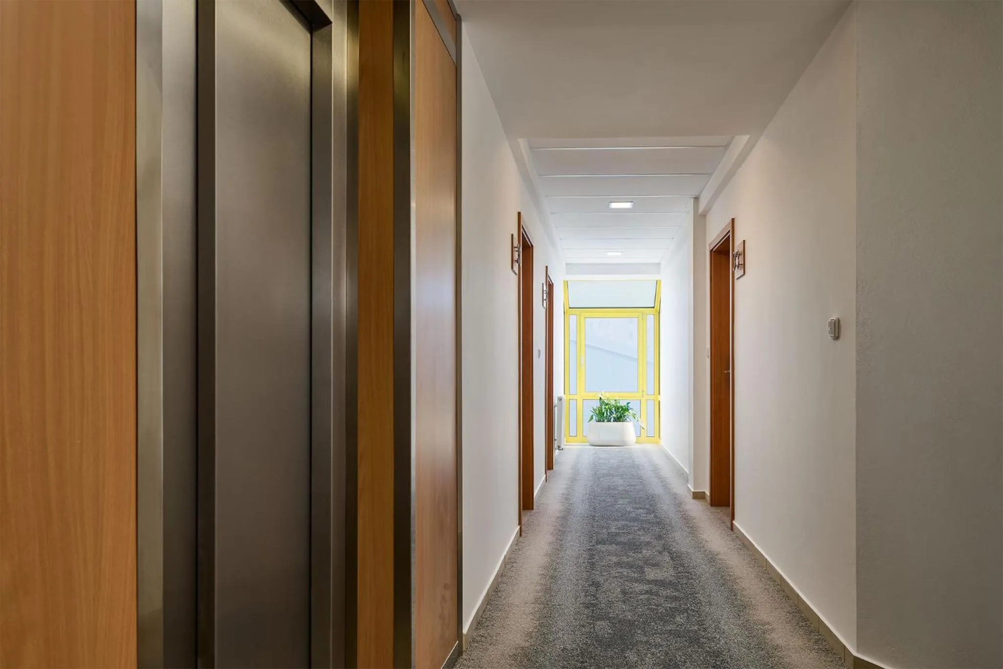 Area and facilities in Hotel Osvit