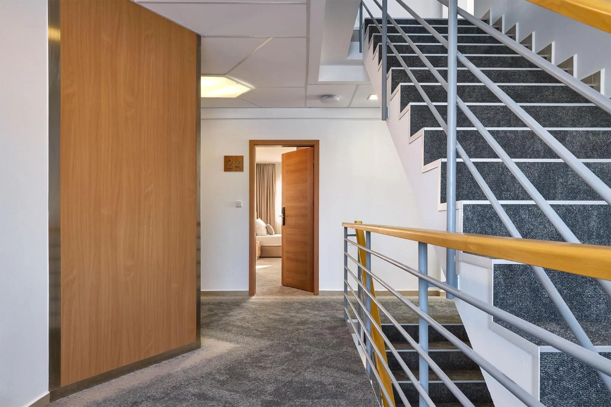 Area and facilities in Hotel Osvit