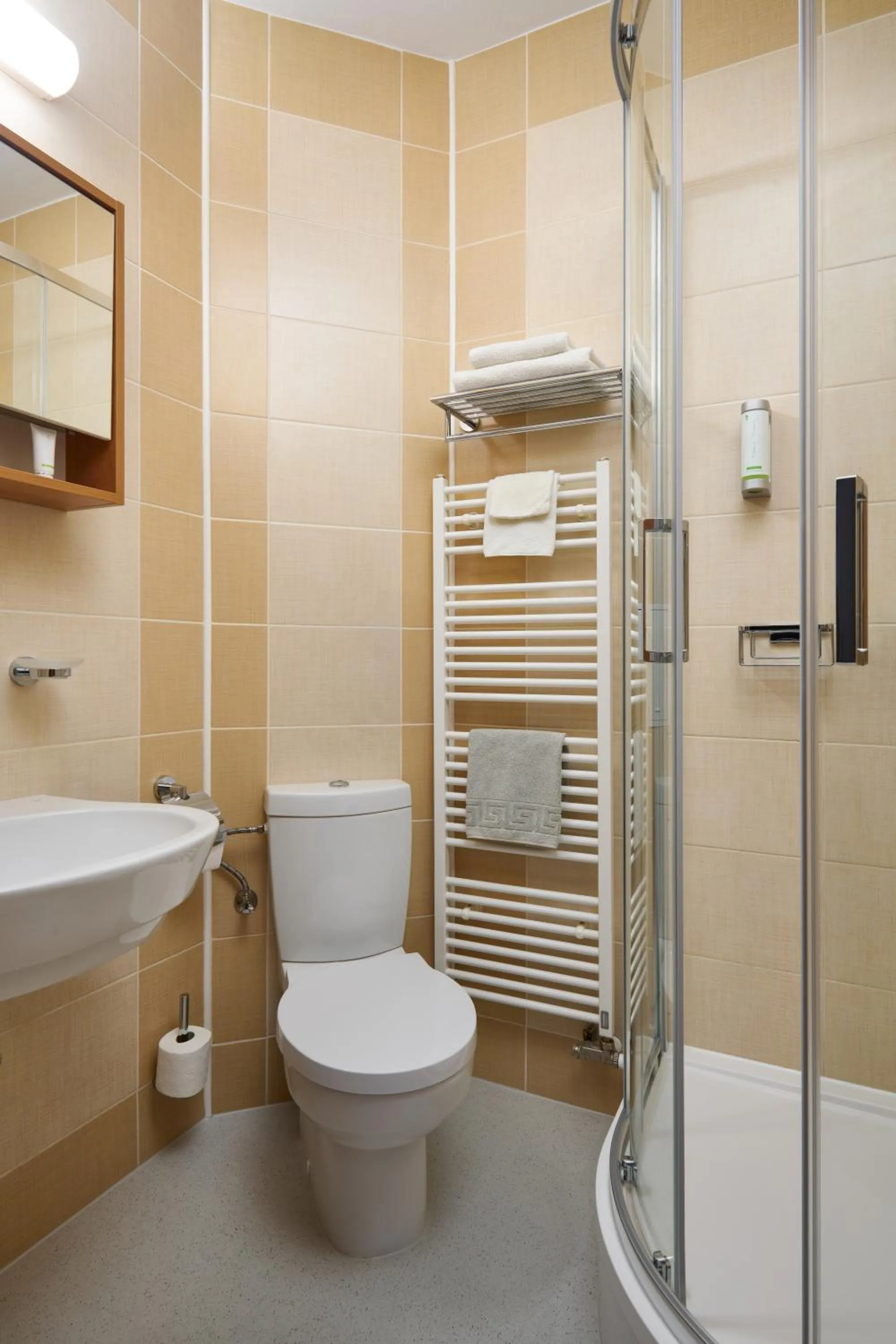 Shower in Hotel Osvit