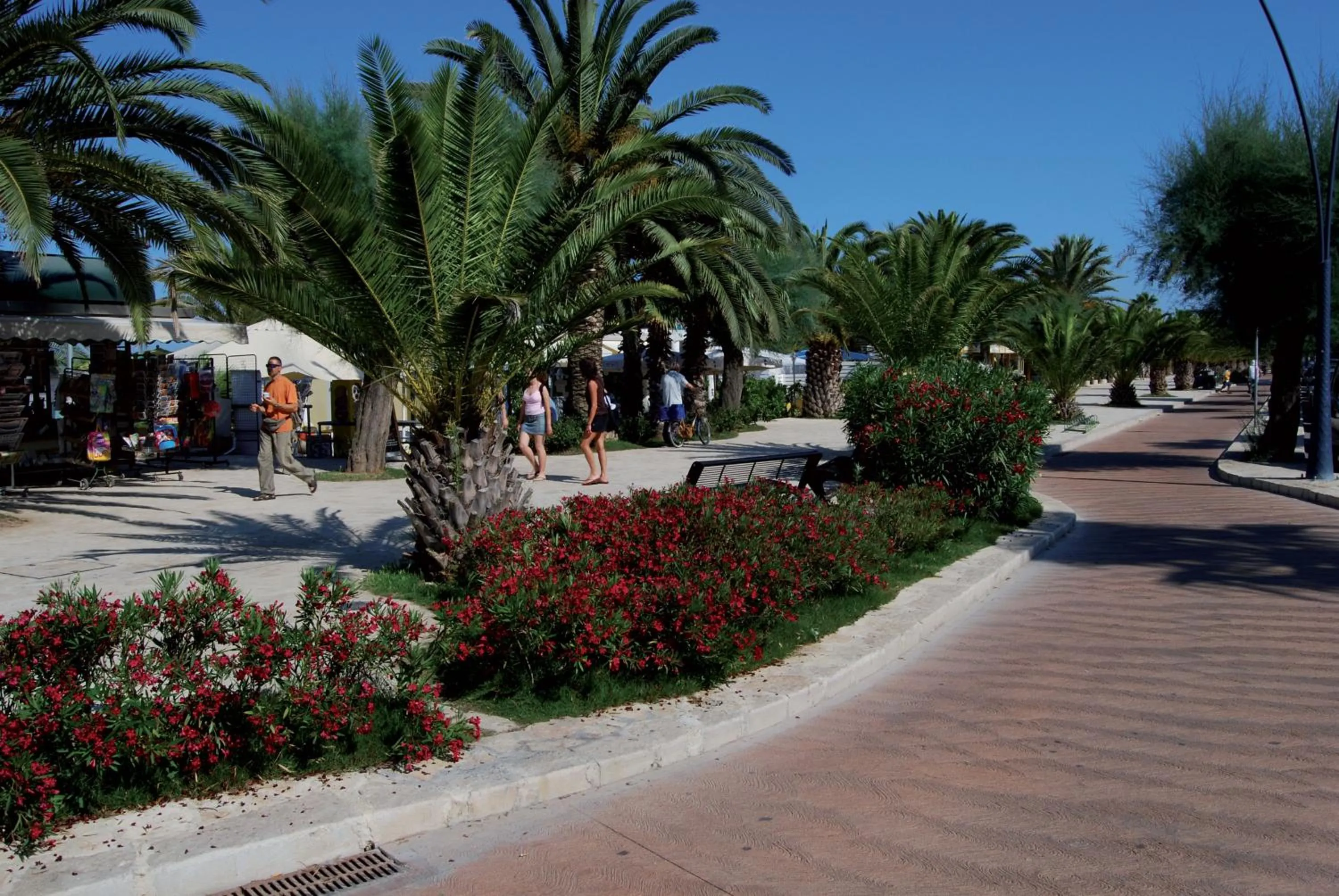 Garden in Hotel Soraya