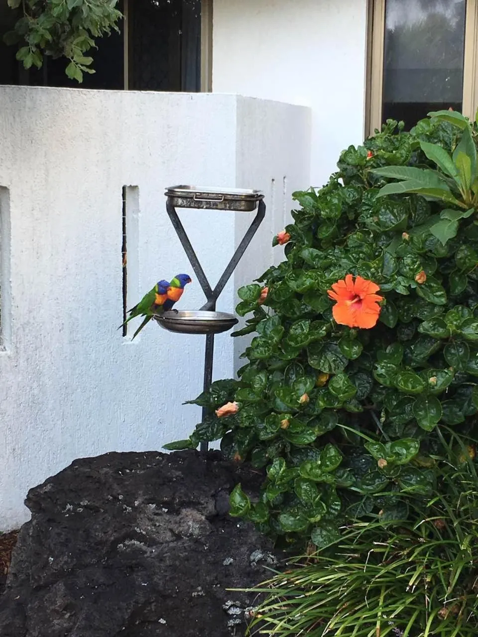 Garden in Ocean Royale