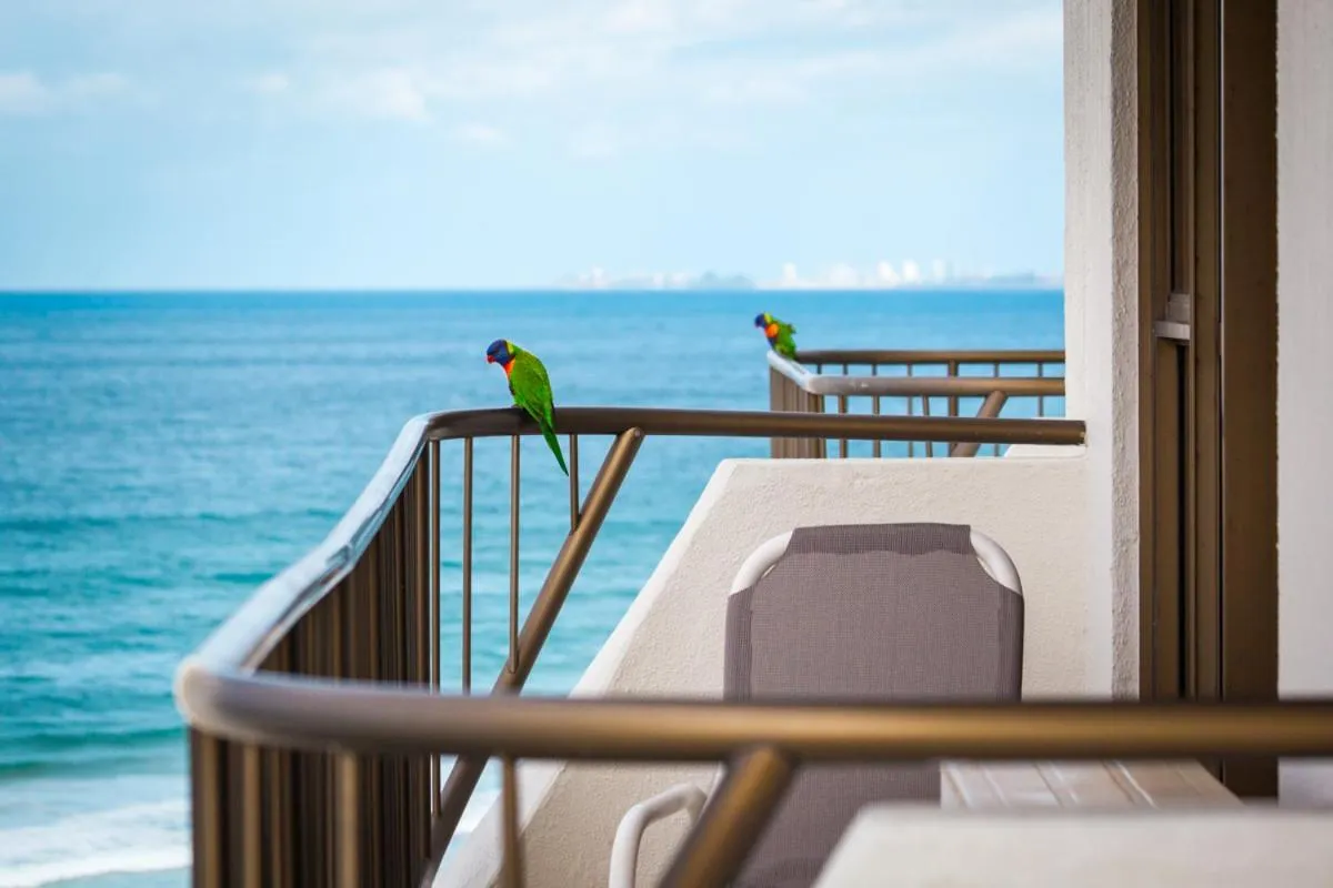 Animals in Ocean Royale