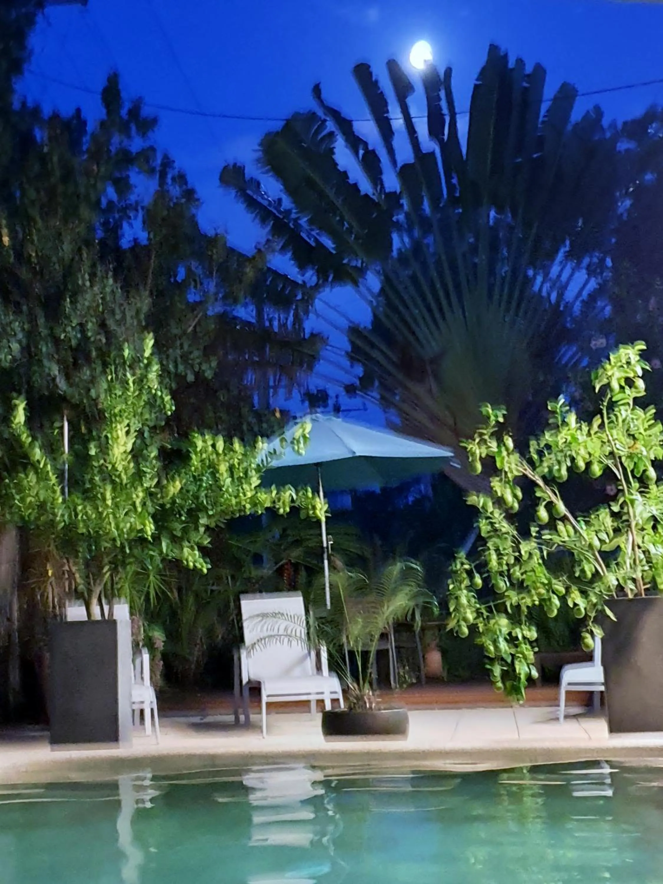 Swimming pool in Clifton Sands Holiday Units