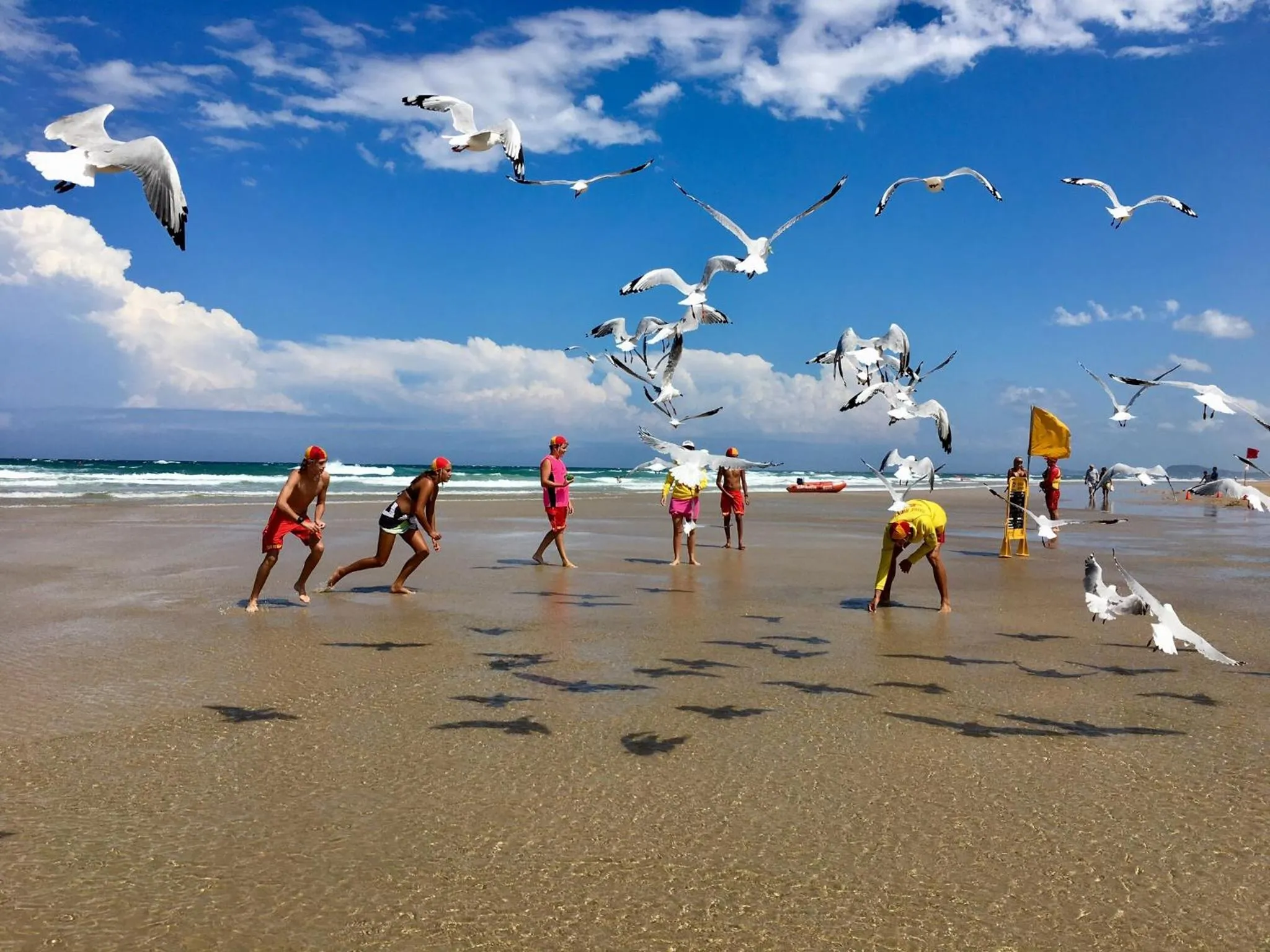 Natural landscape in Hi Ho Beach Apartments on Broadbeach