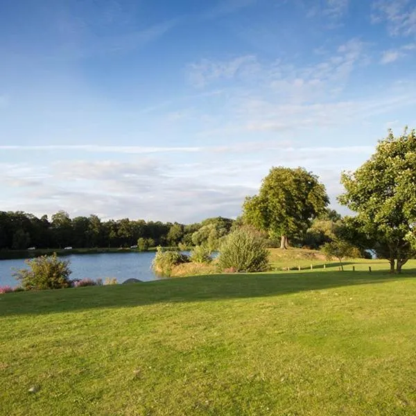 Garden in Woodland Waters