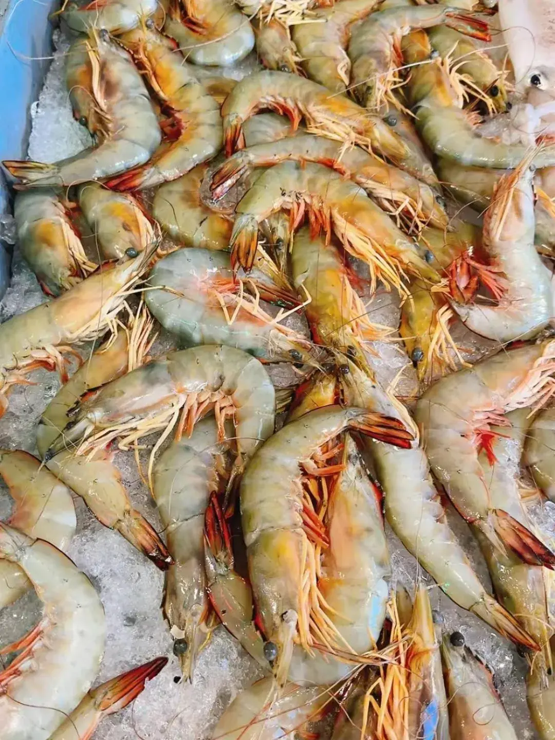 Food and drinks in Sunlight Bungalow Food and drinks in Sunlight Bungalow