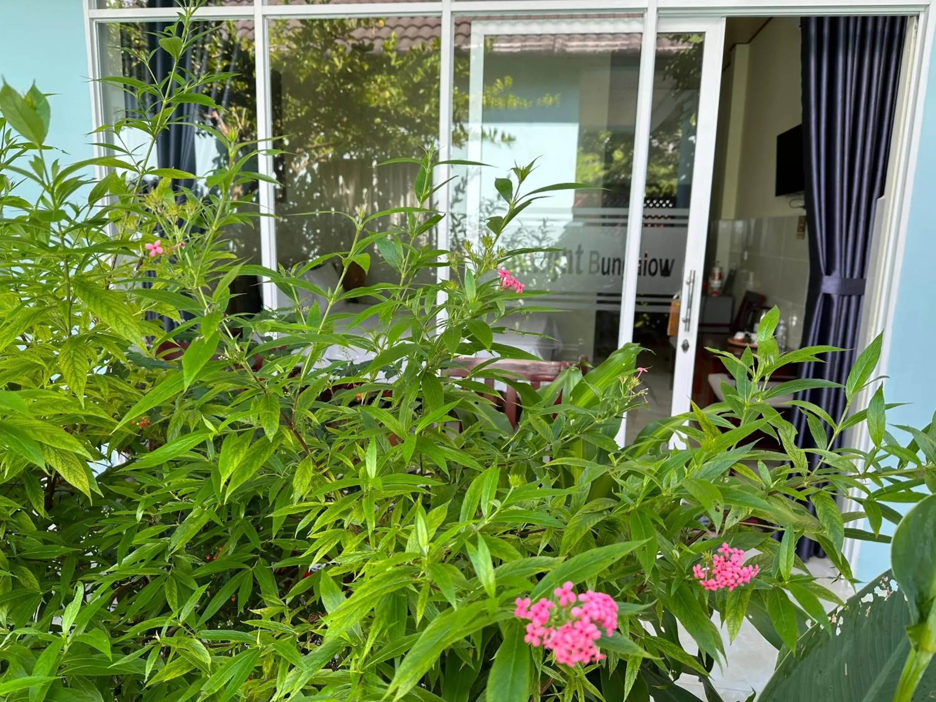 Garden view in Sunlight Bungalow Garden view in Sunlight Bungalow