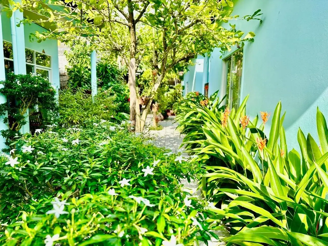 Garden view in Sunlight Bungalow Garden view in Sunlight Bungalow