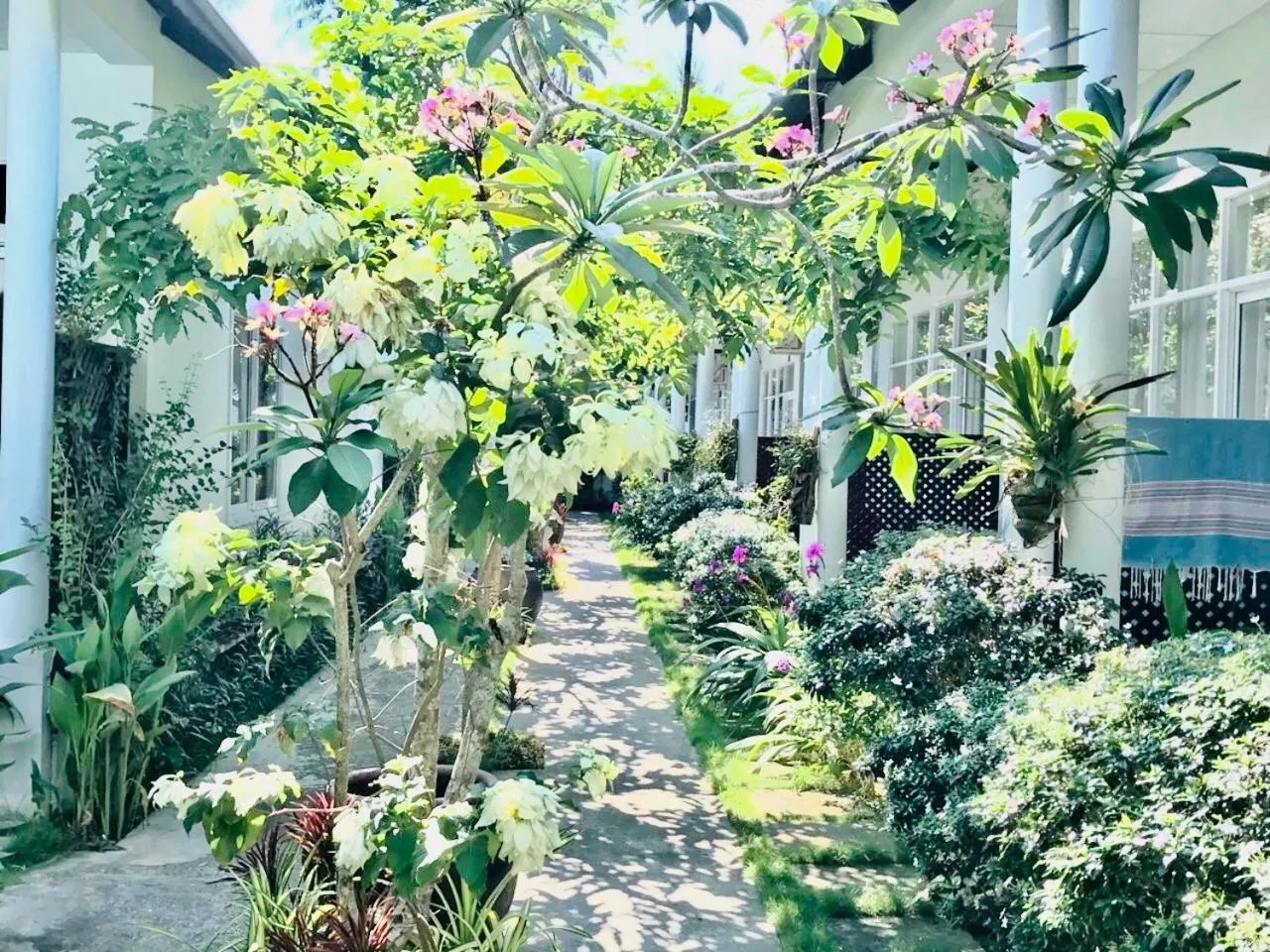 Garden in Sunlight Bungalow